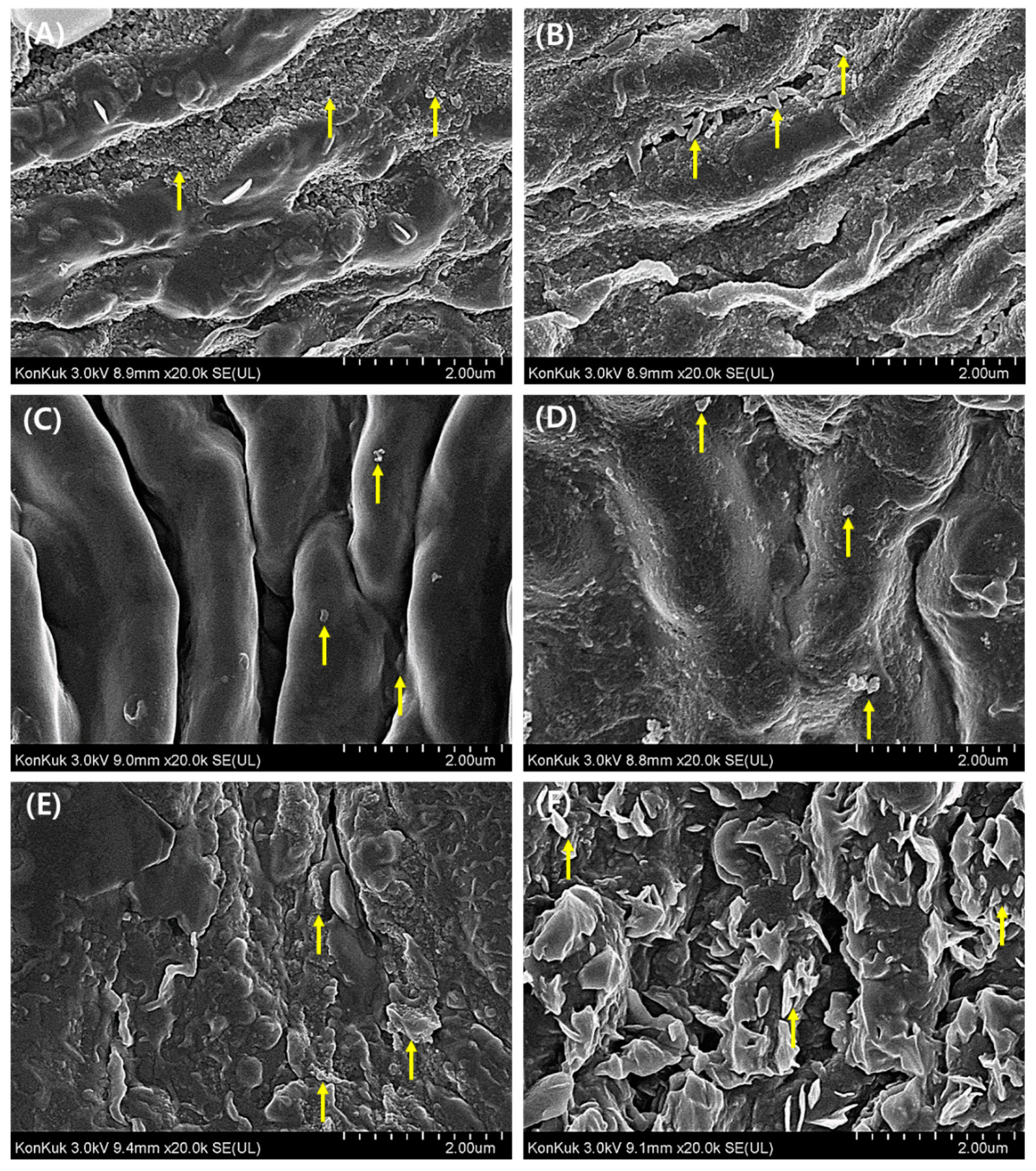 Plants 10 02761 g004