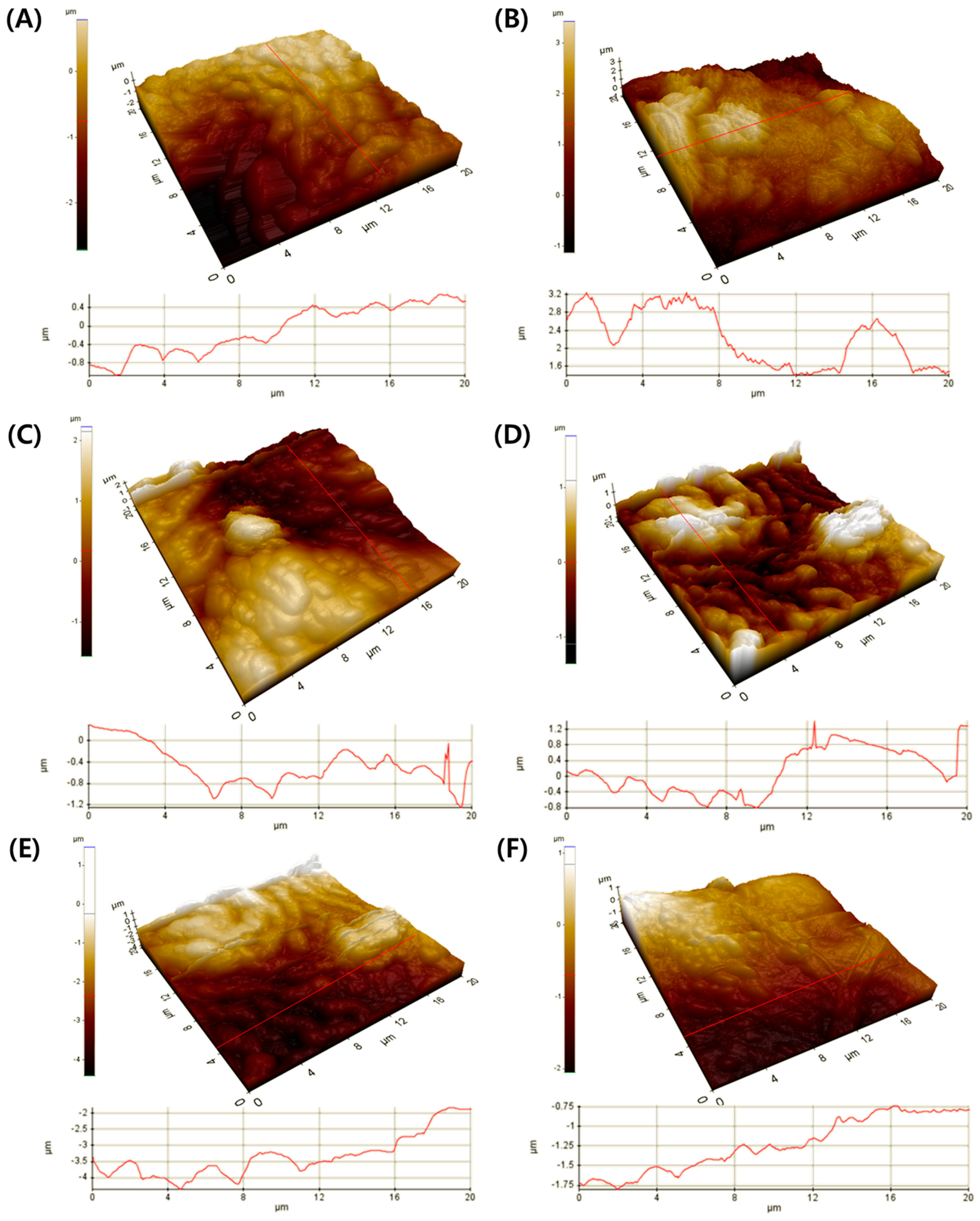 Plants 10 02761 g005