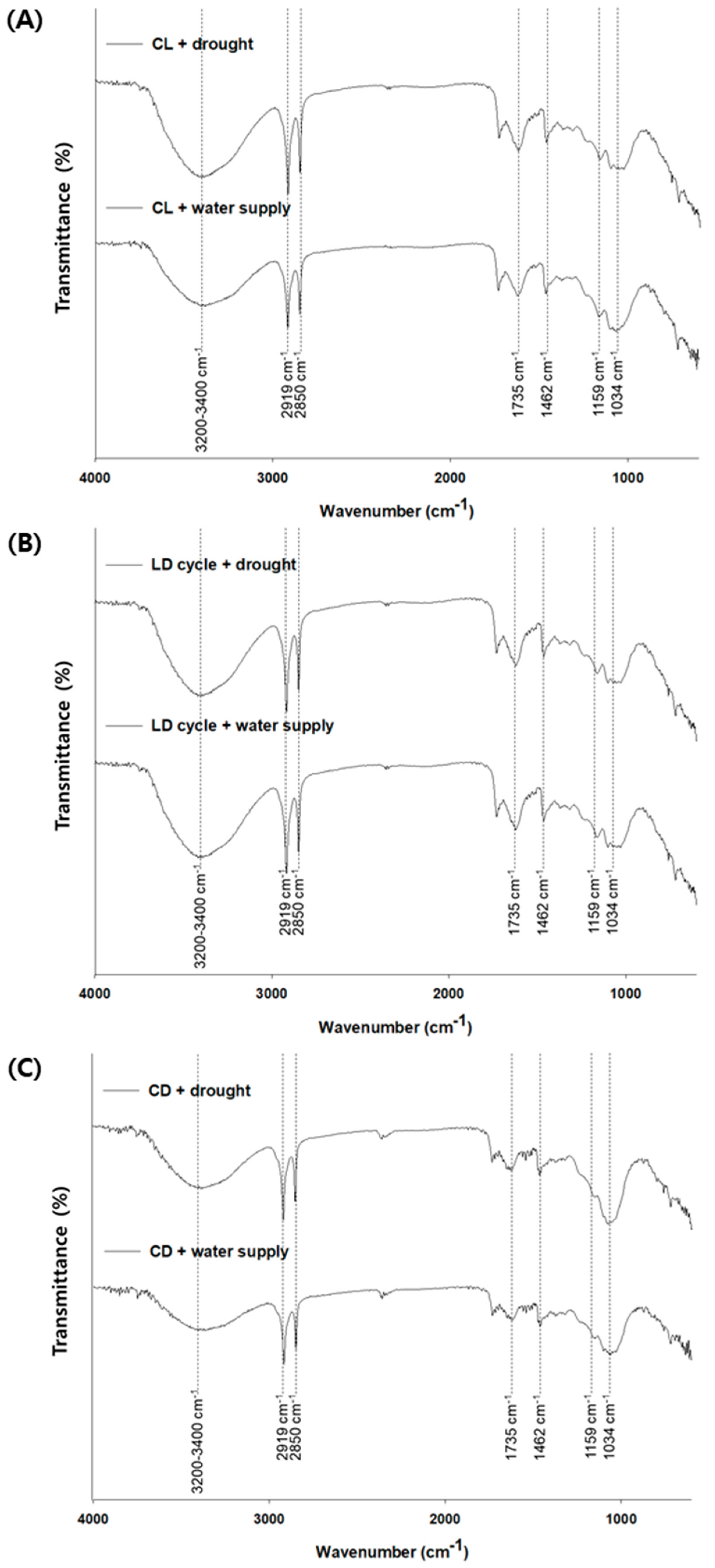Plants 10 02761 g006