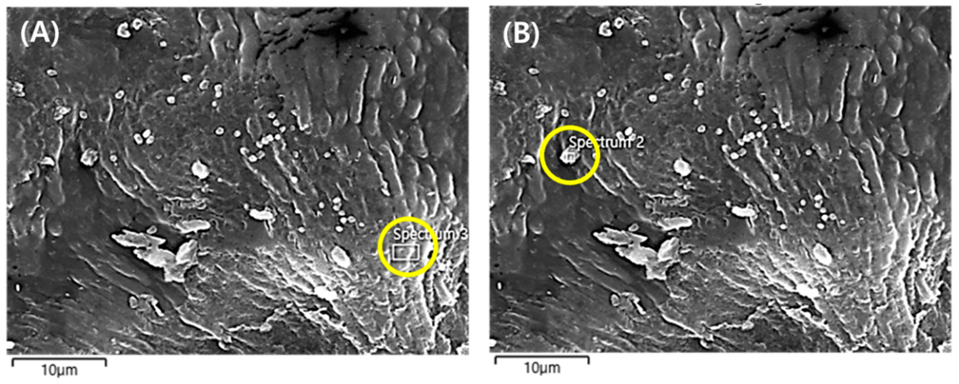 Plants 10 02761 g007