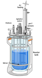 Plants 10 02762 i003