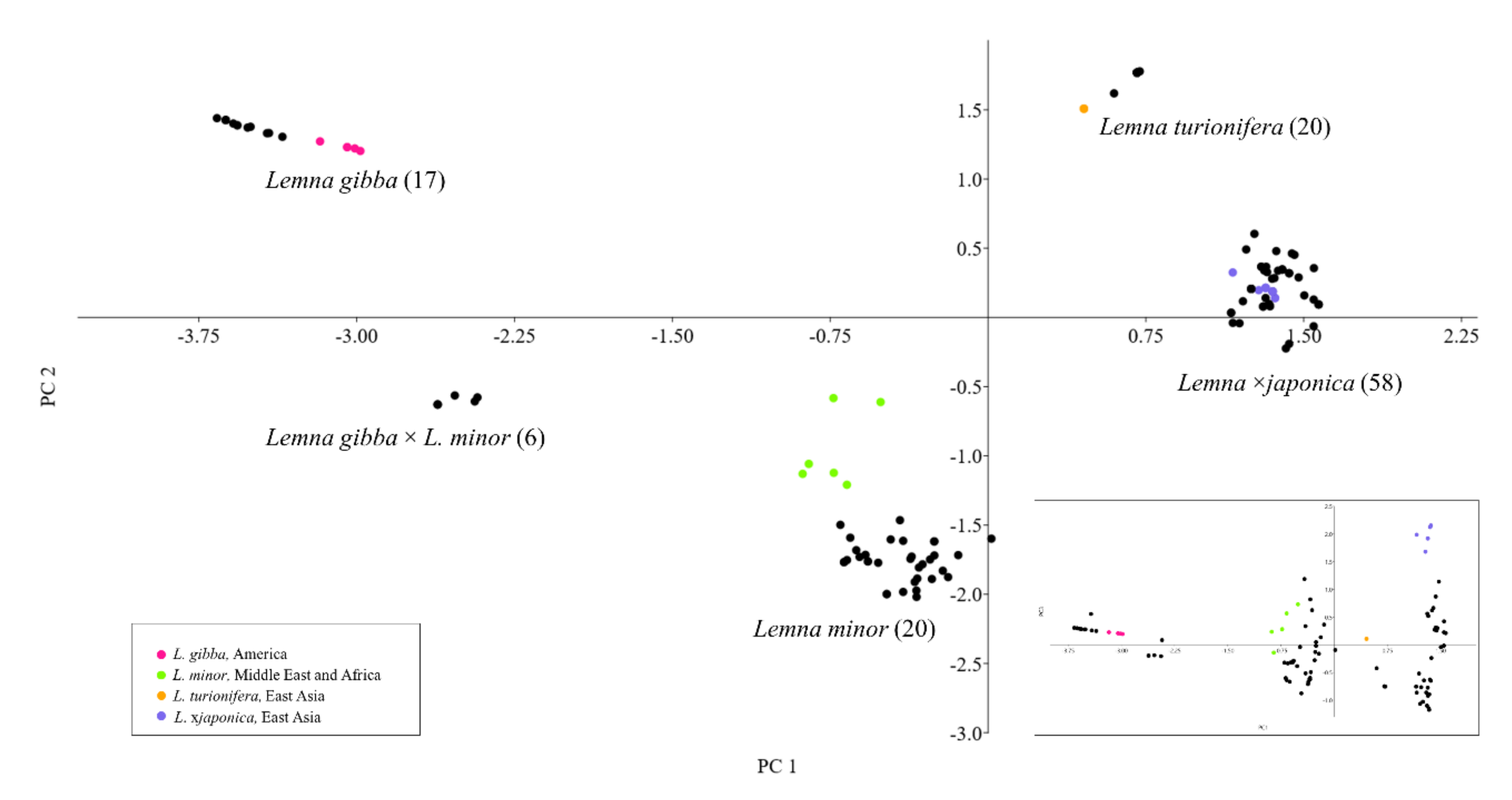 Plants 10 02767 g002