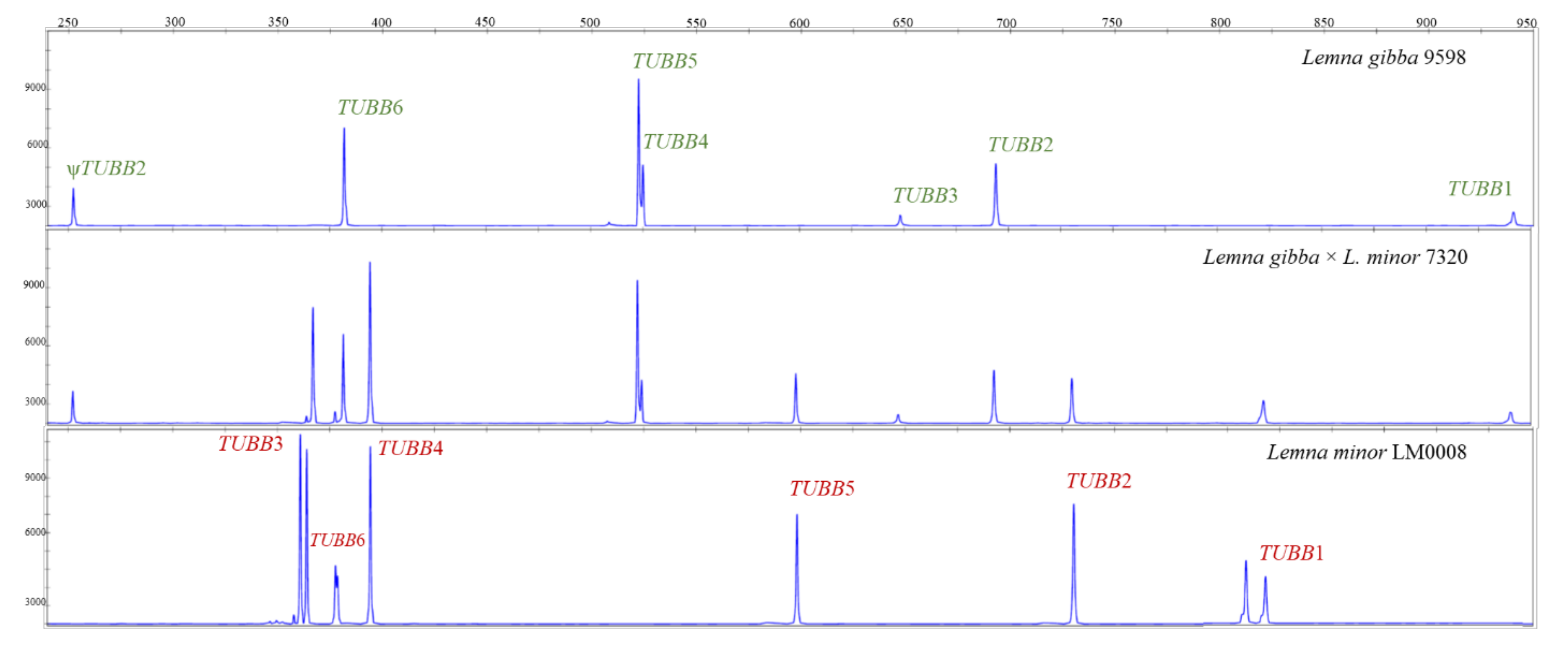 Plants 10 02767 g004