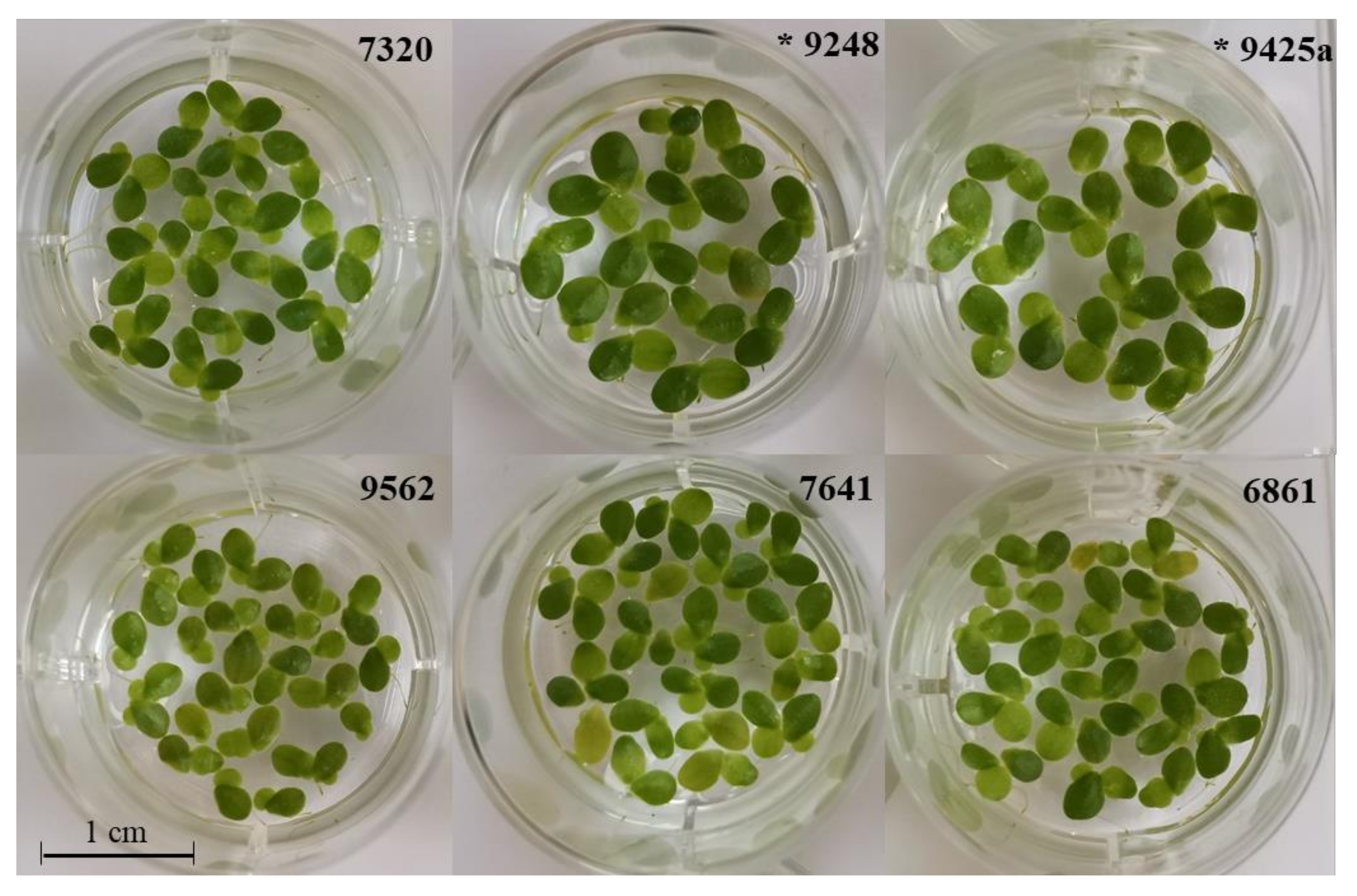 Plants 10 02767 g005