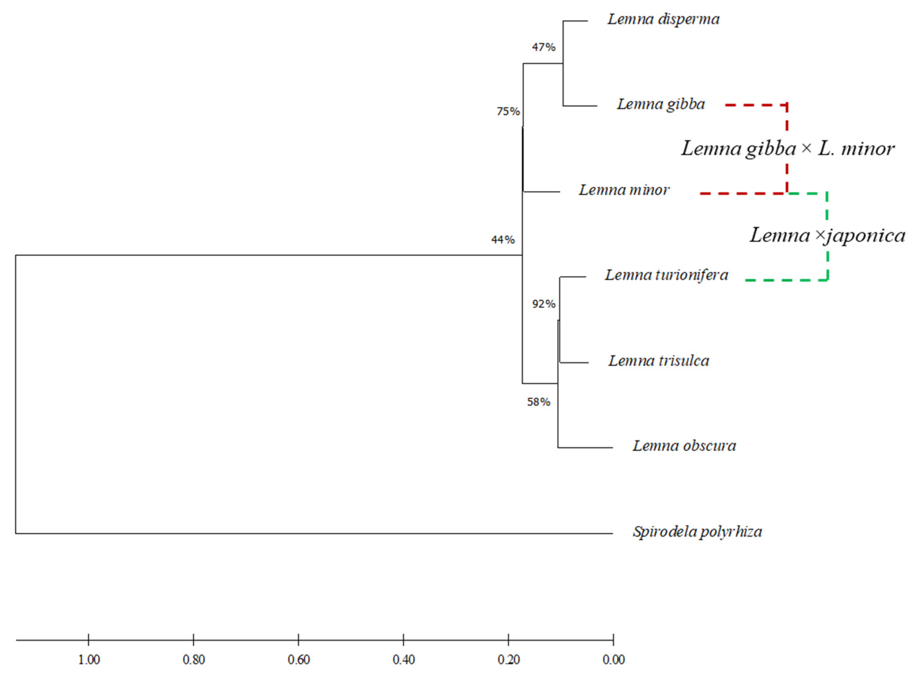 Plants 10 02767 g007