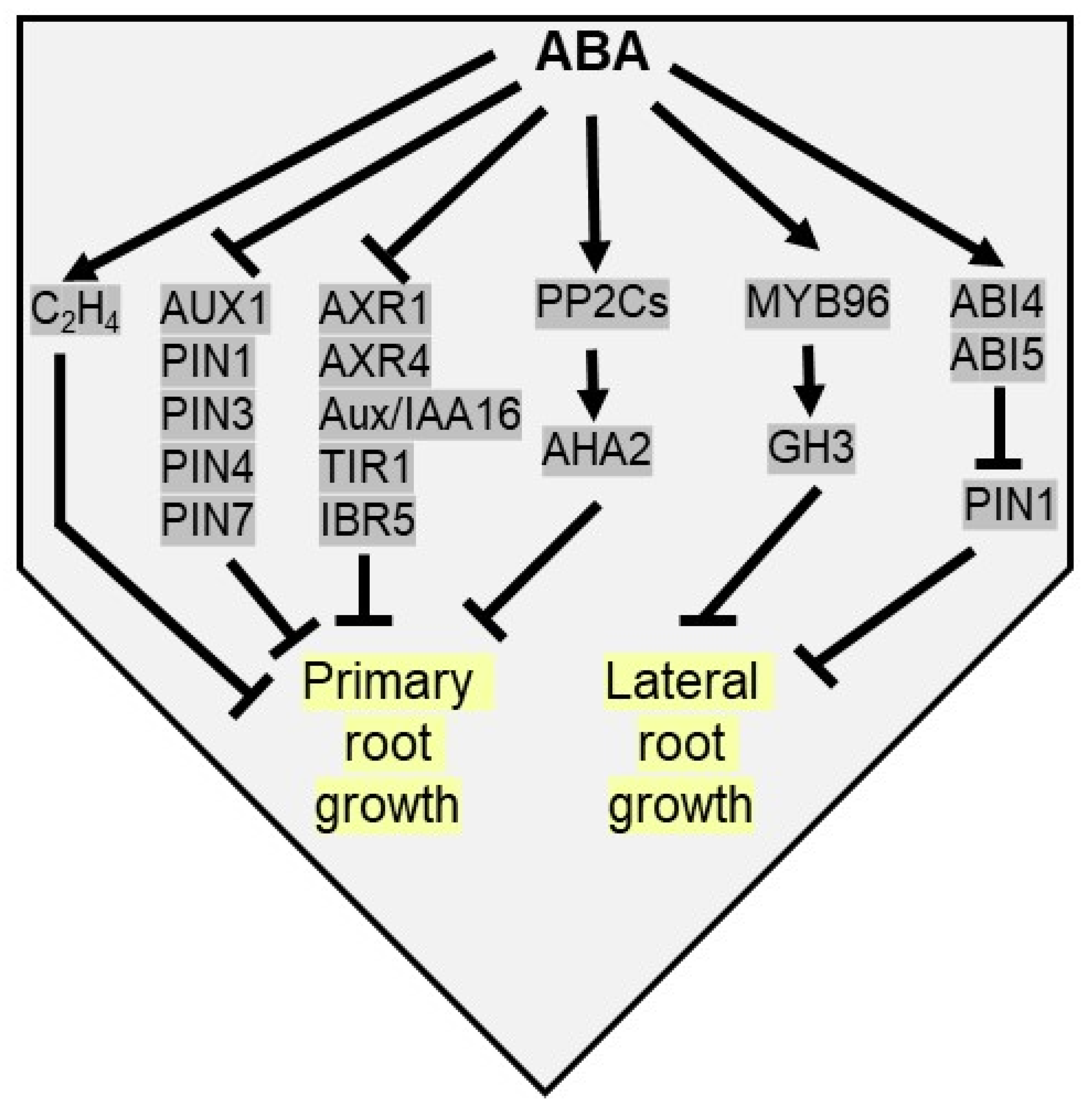 Plants 10 02769 g005 Plants 10 02769 g005