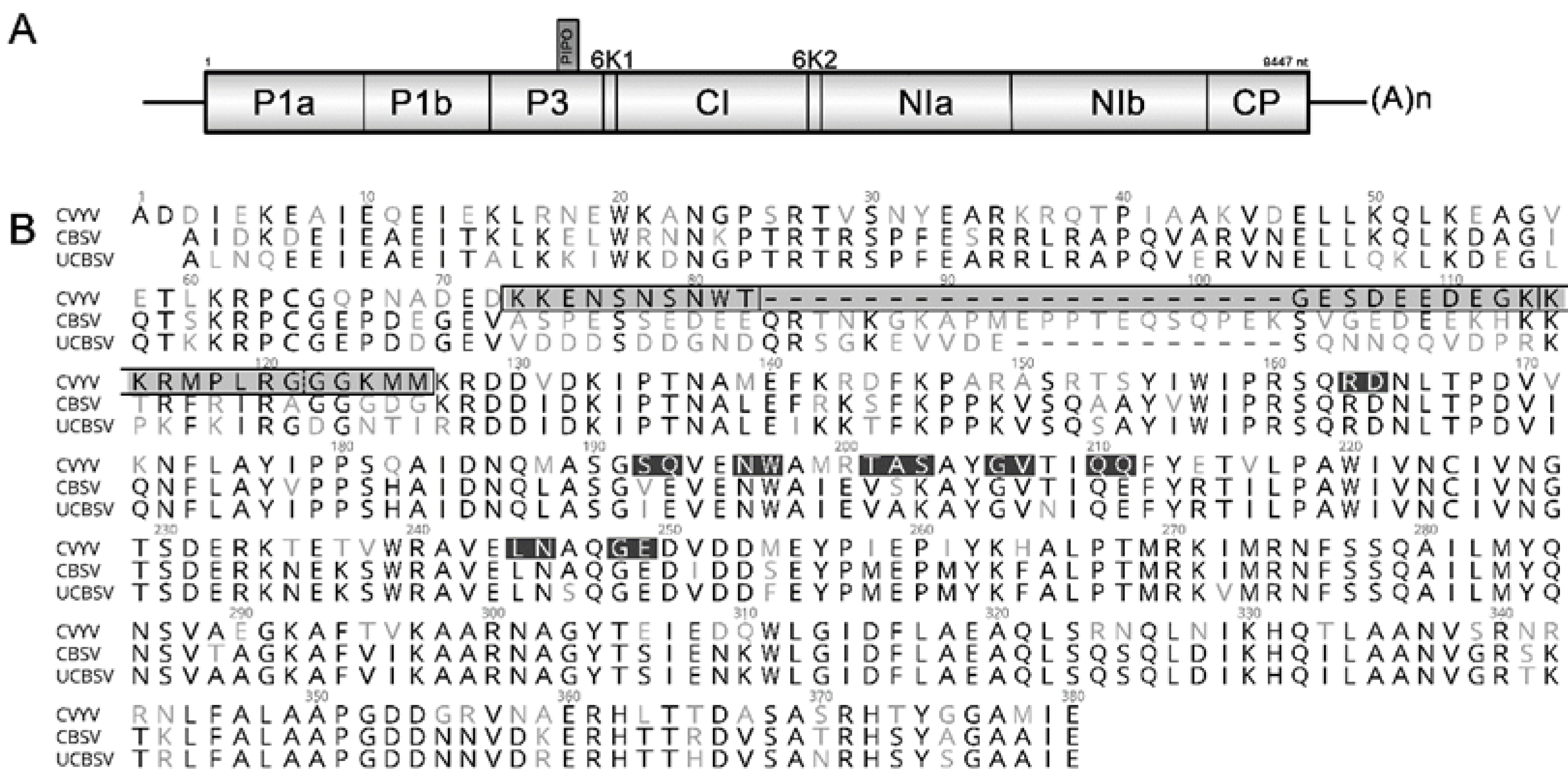 Plants 10 02771 g001 Plants 10 02771 g001