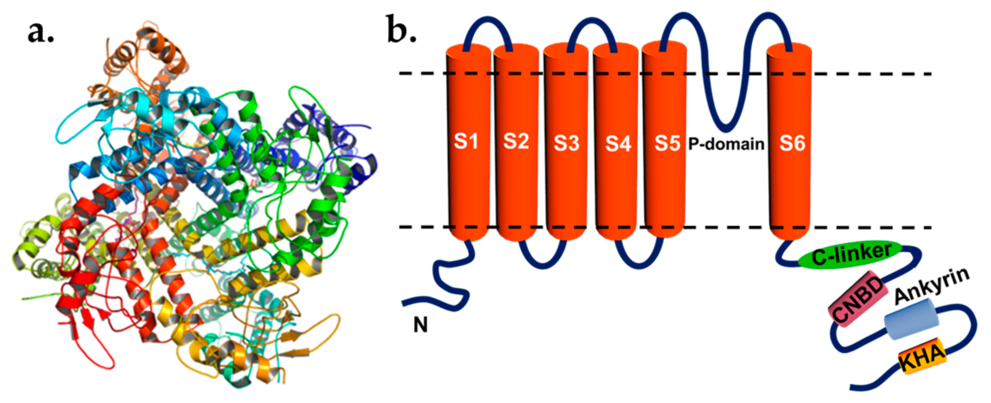 Plants 10 02774 g001