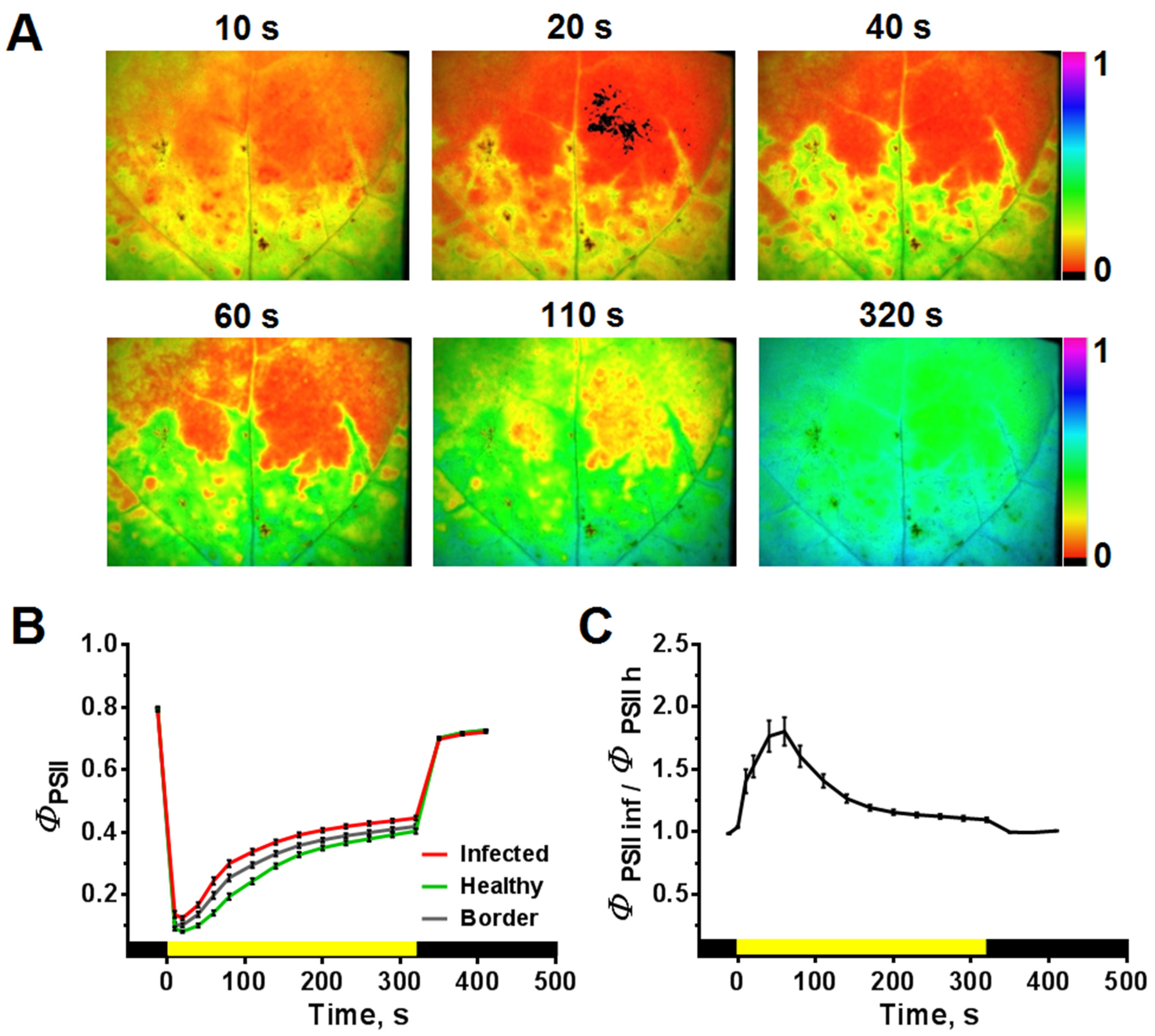Plants 10 02782 g004 550