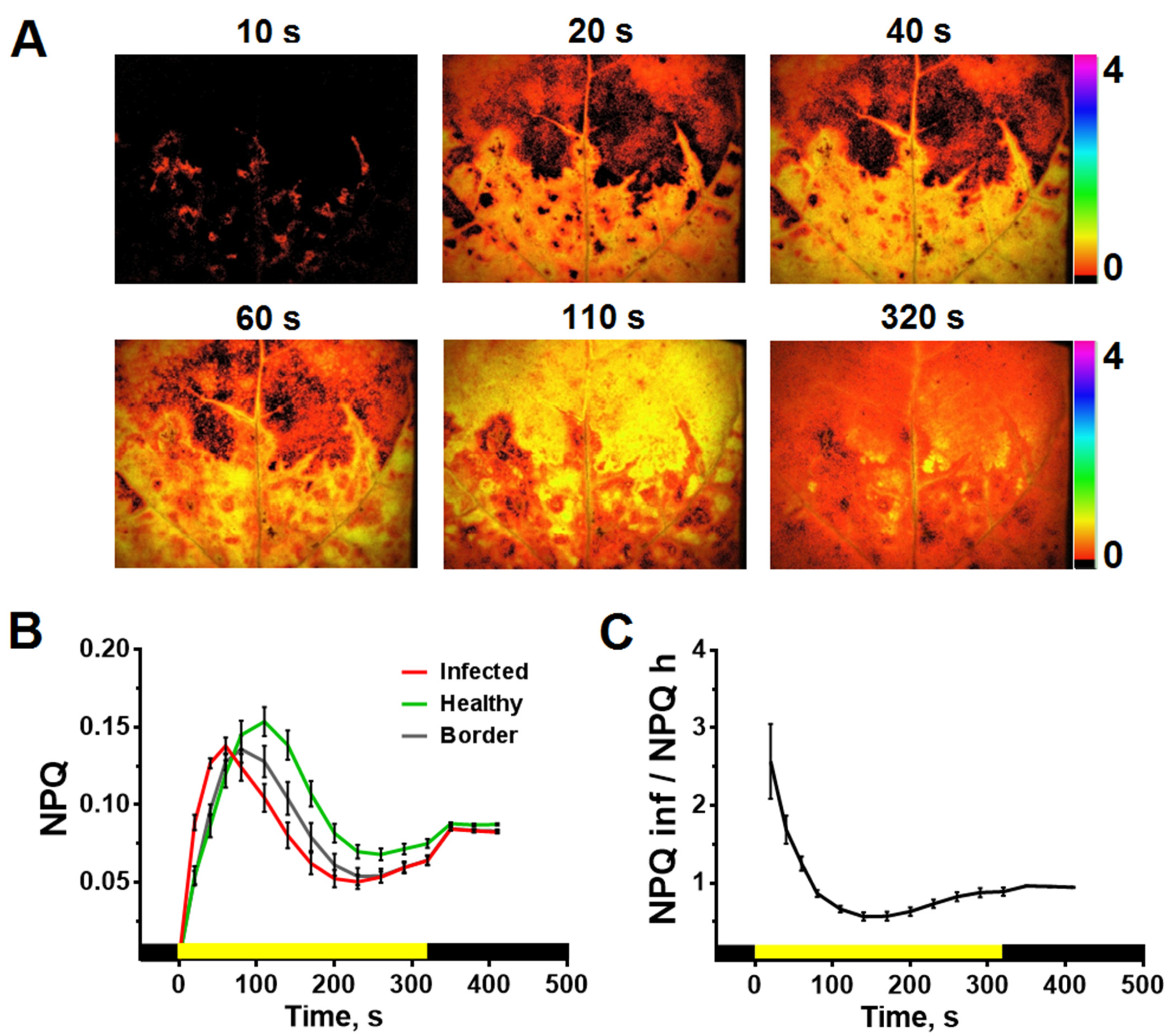 Plants 10 02782 g005 550