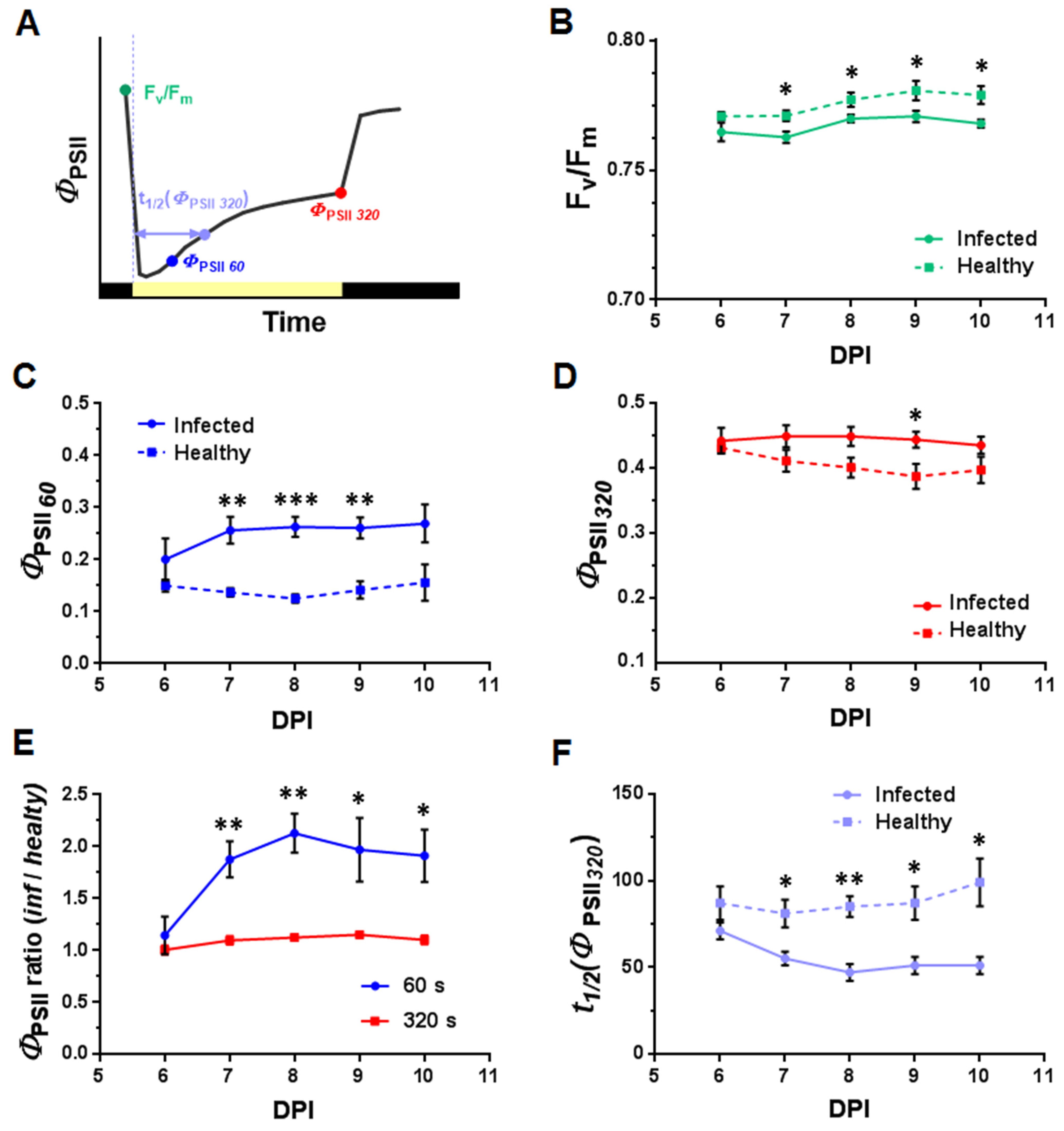 Plants 10 02782 g007 550