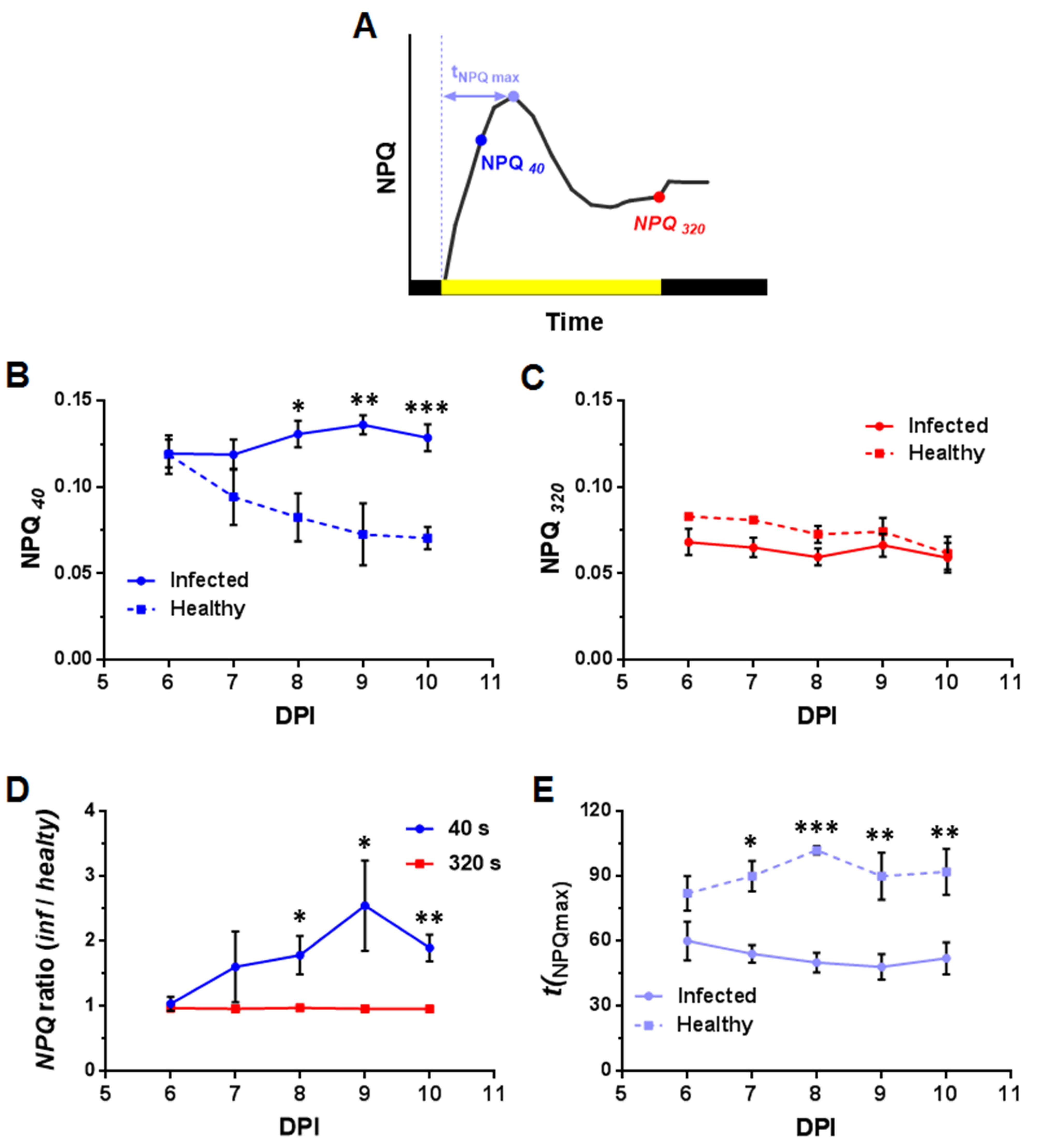Plants 10 02782 g008 550