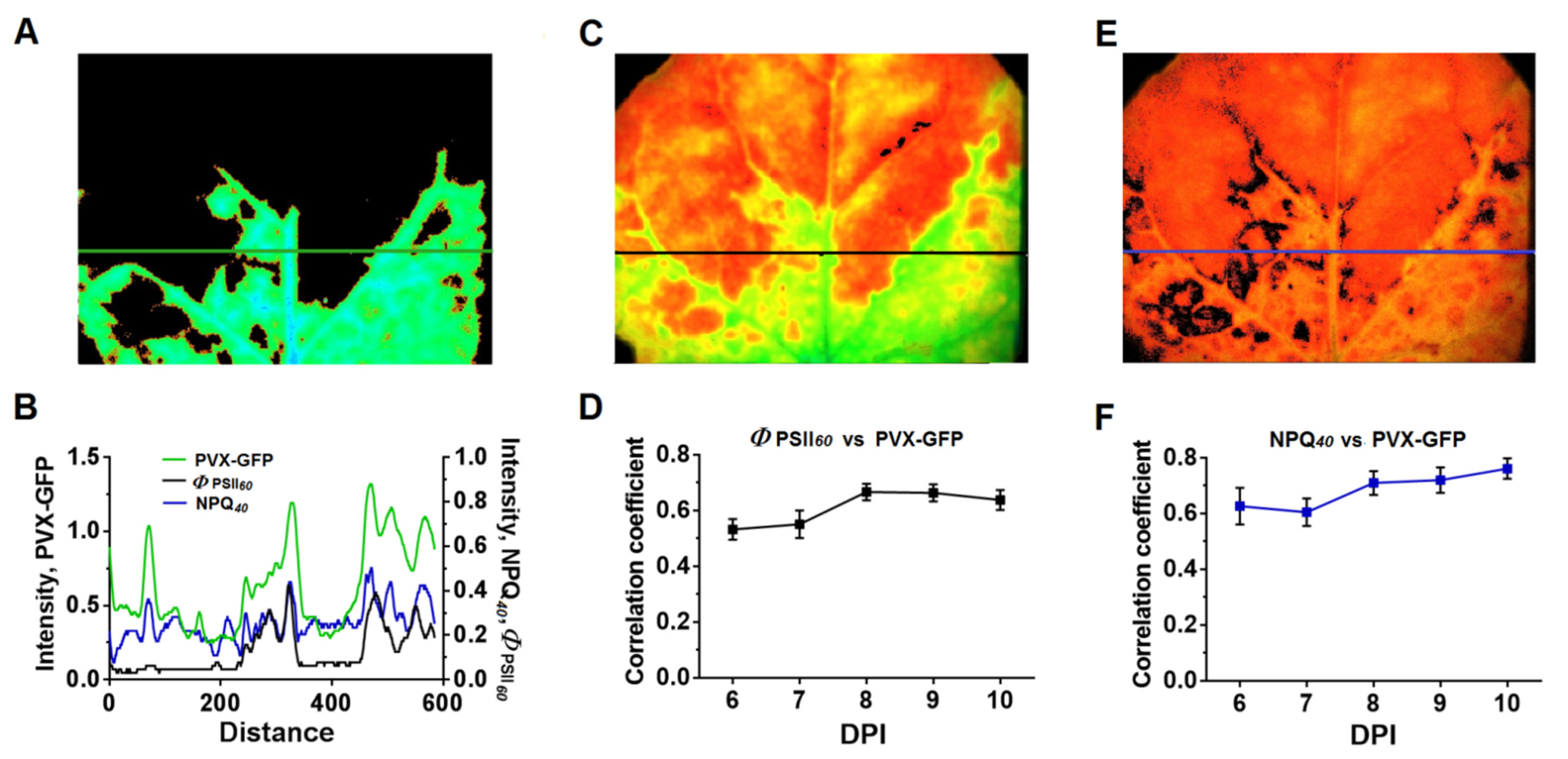 Plants 10 02782 g010 550