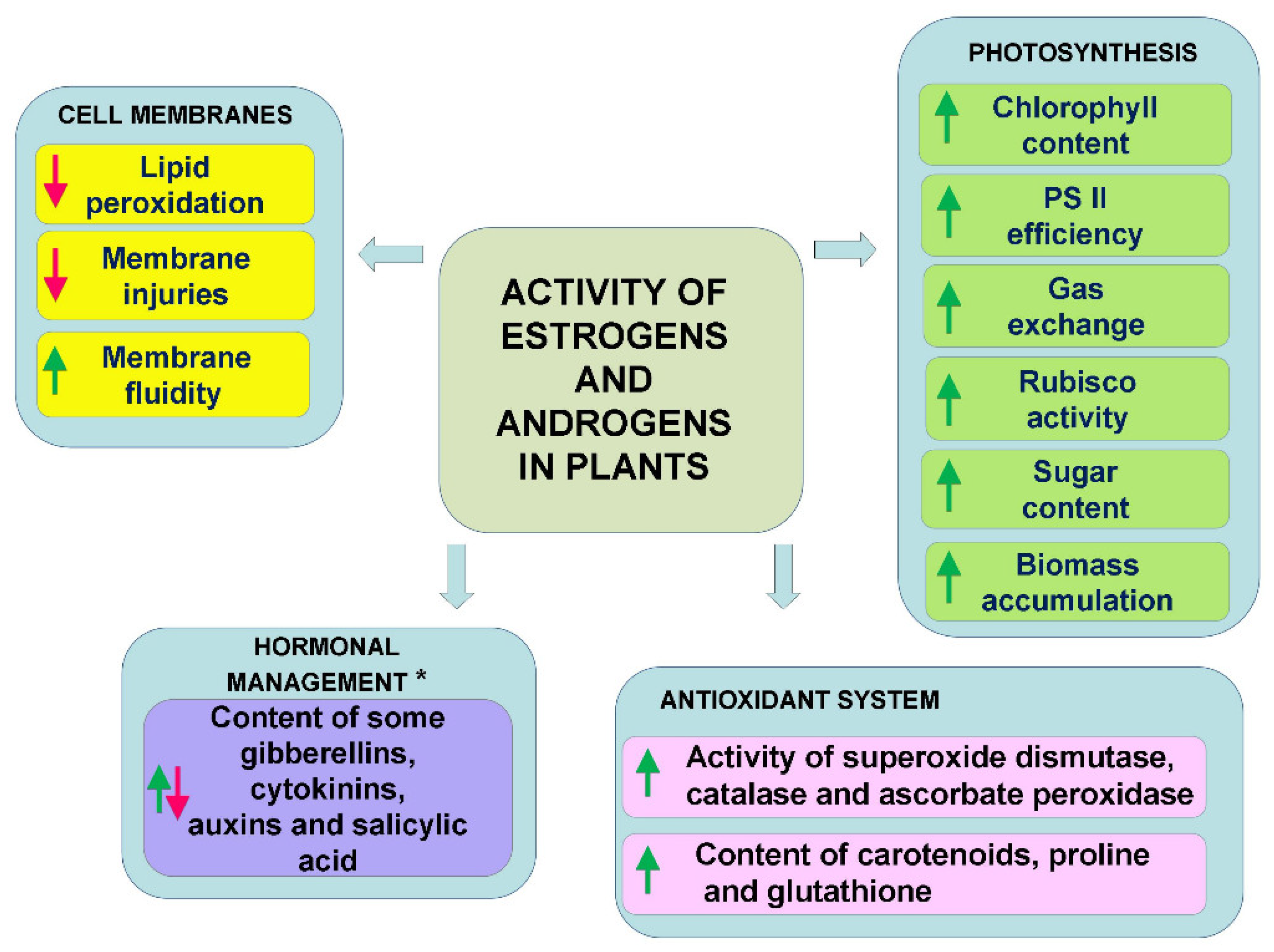 Plants Free Full-Text Estrogens and Androgens in Plants: The Last 20 Years of