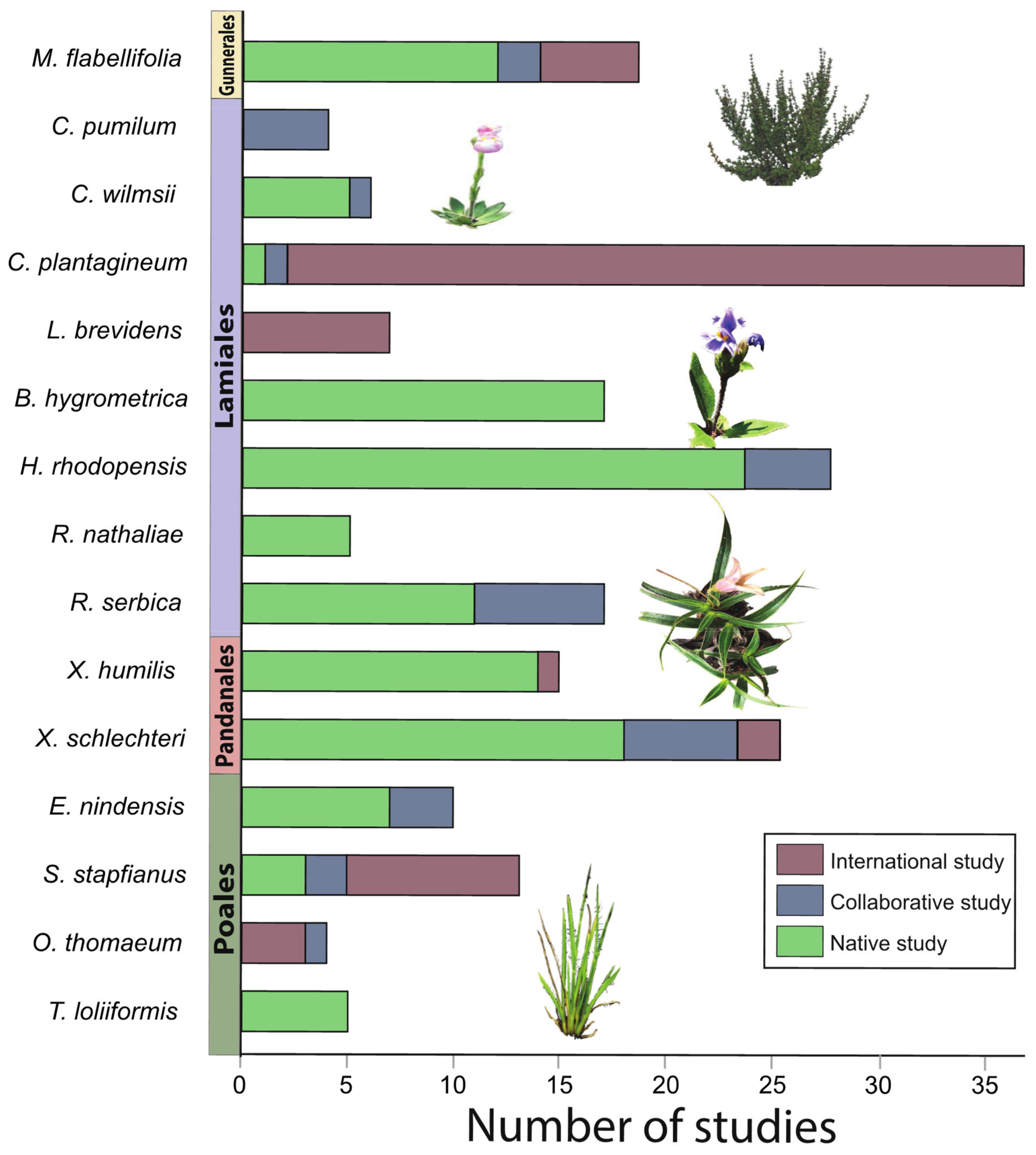 Plants 10 02784 g002