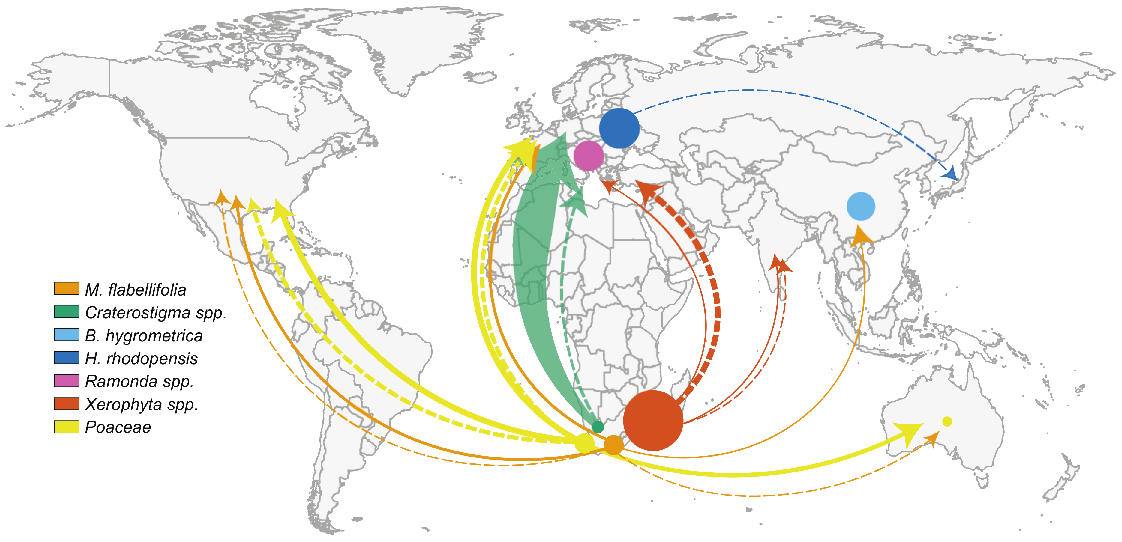 Plants 10 02784 g003