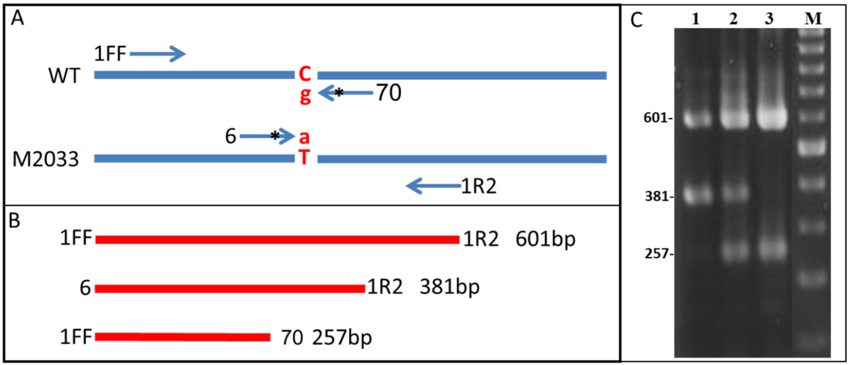 Plants 10 02791 g007