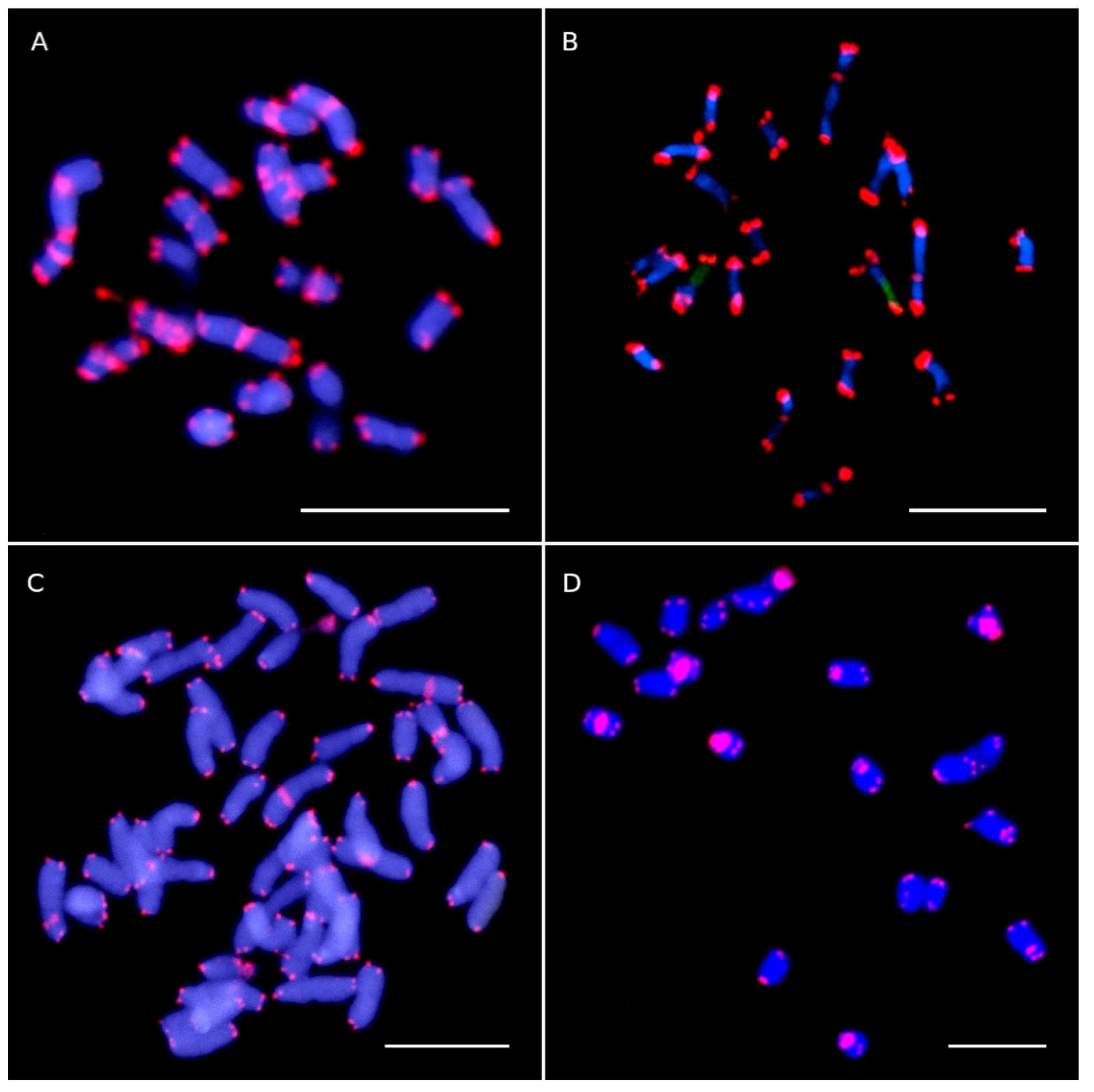 Plants 10 02794 g002 Plants 10 02794 g002