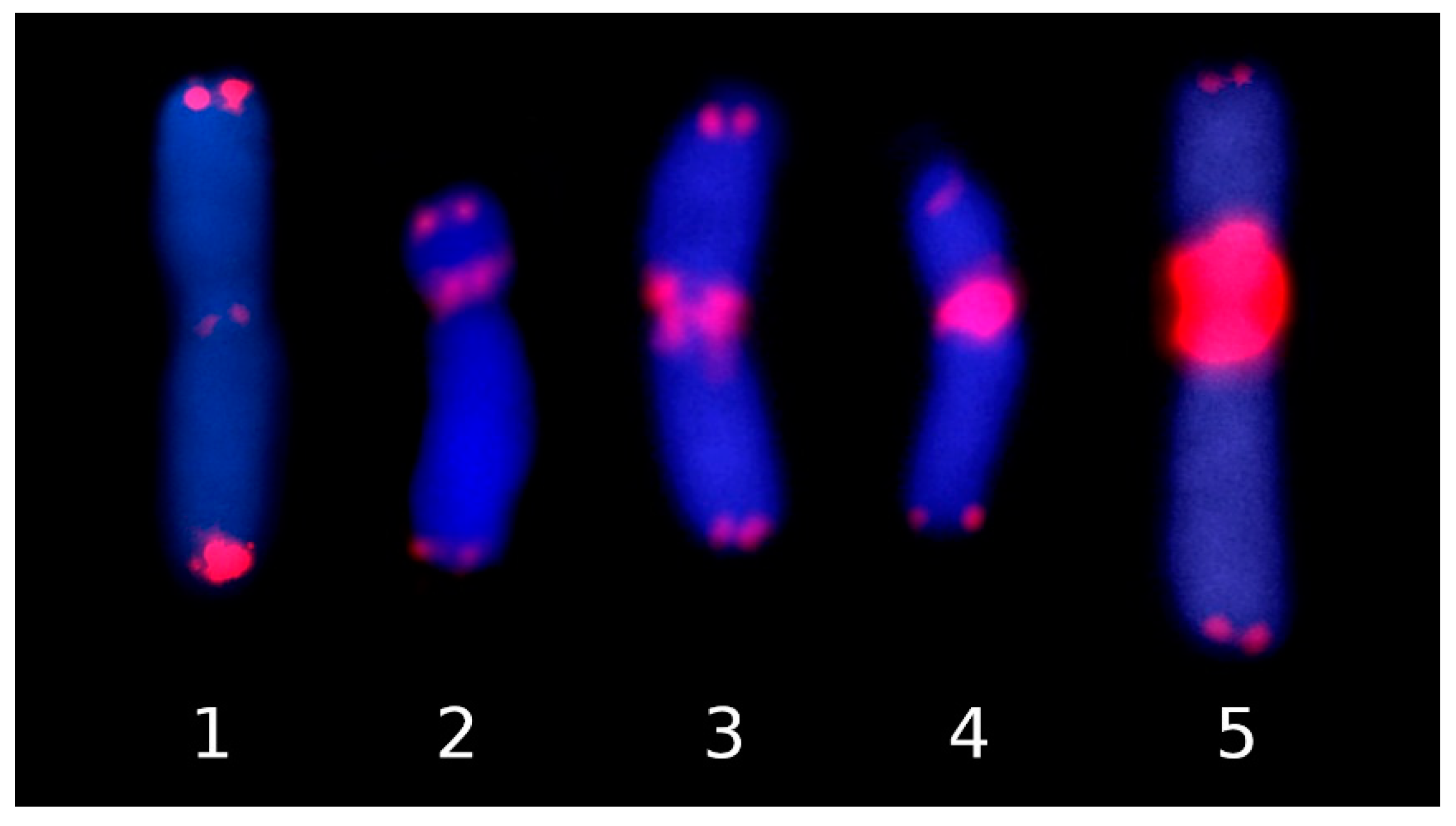 Plants 10 02794 g004 Plants 10 02794 g004