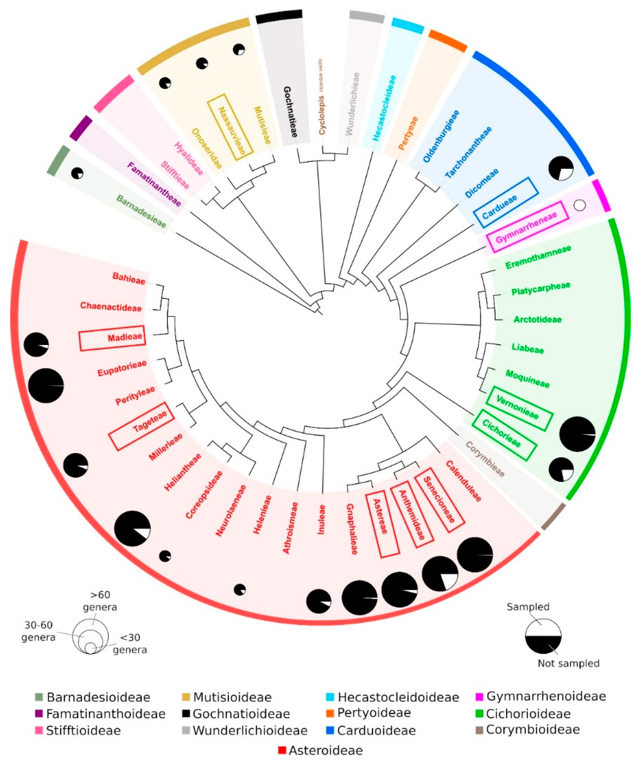 Plants 10 02794 g005 Plants 10 02794 g005
