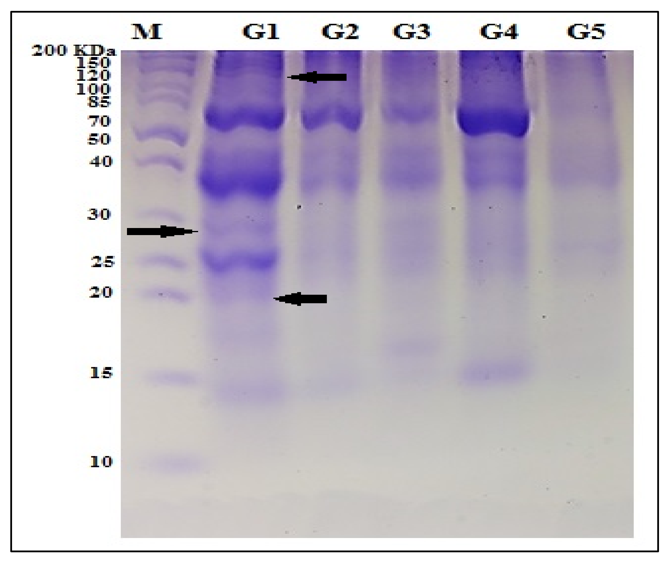 Plants 10 02802 g001