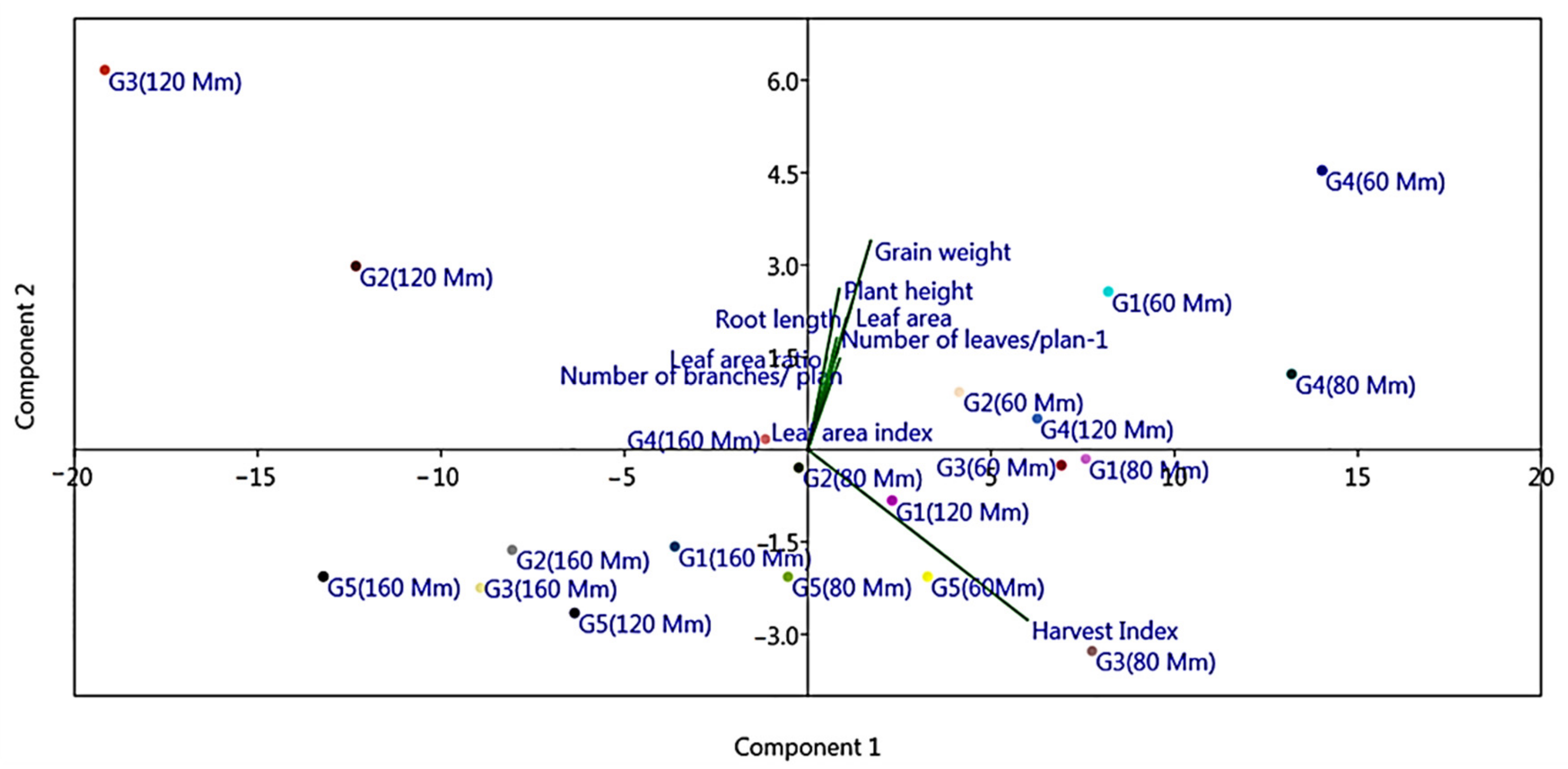 Plants 10 02802 g004