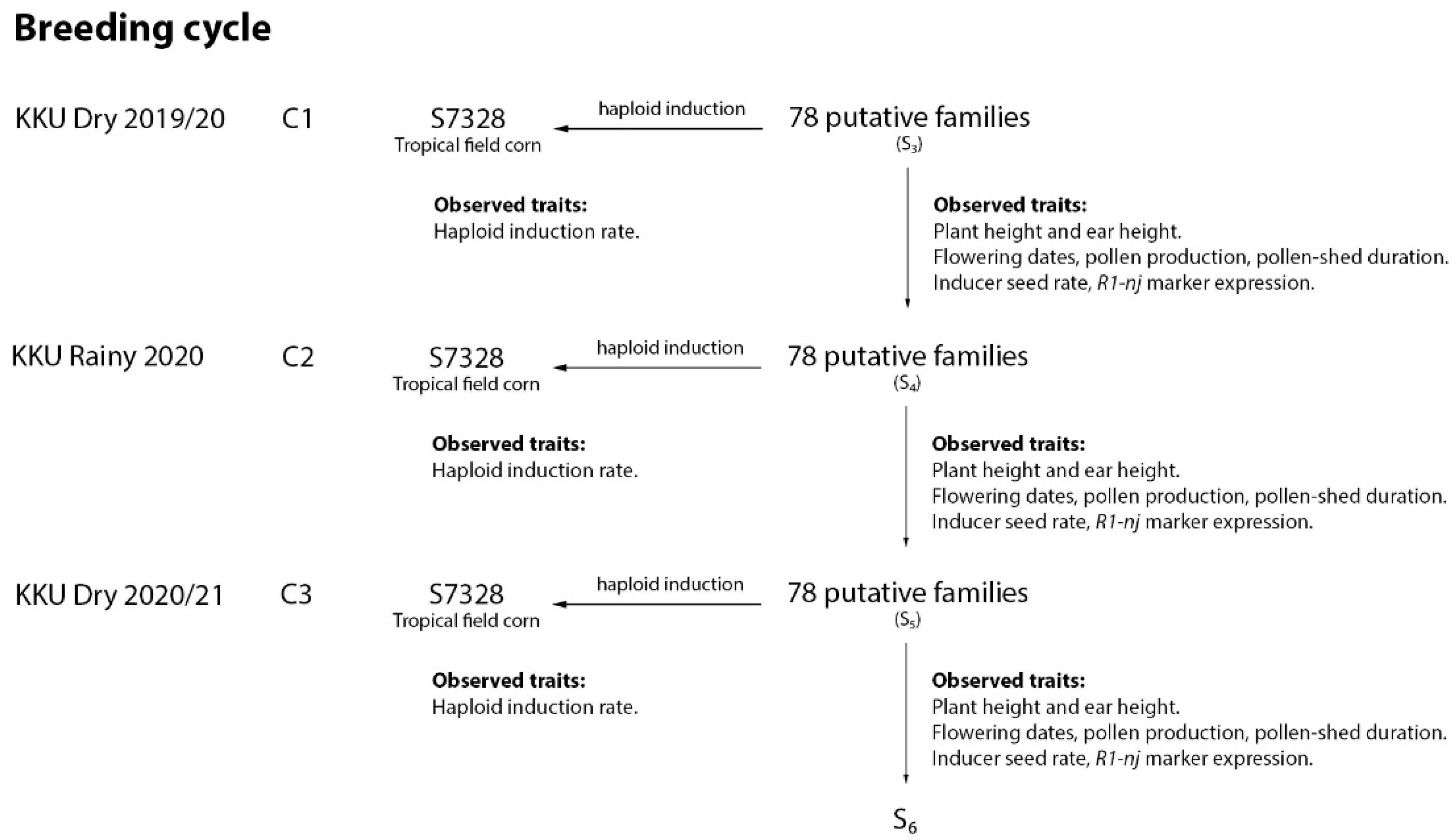 Plants 10 02812 g002