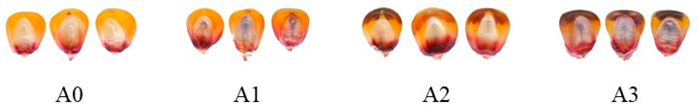 Plants 10 02812 g003