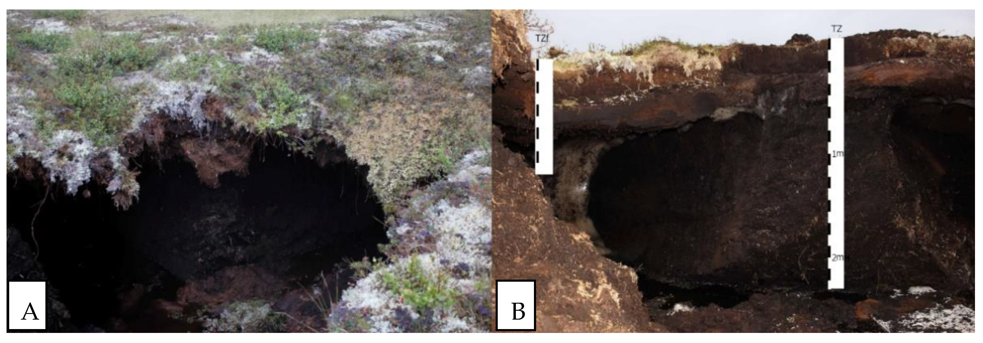 Plants 10 02813 g001 Plants 10 02813 g001