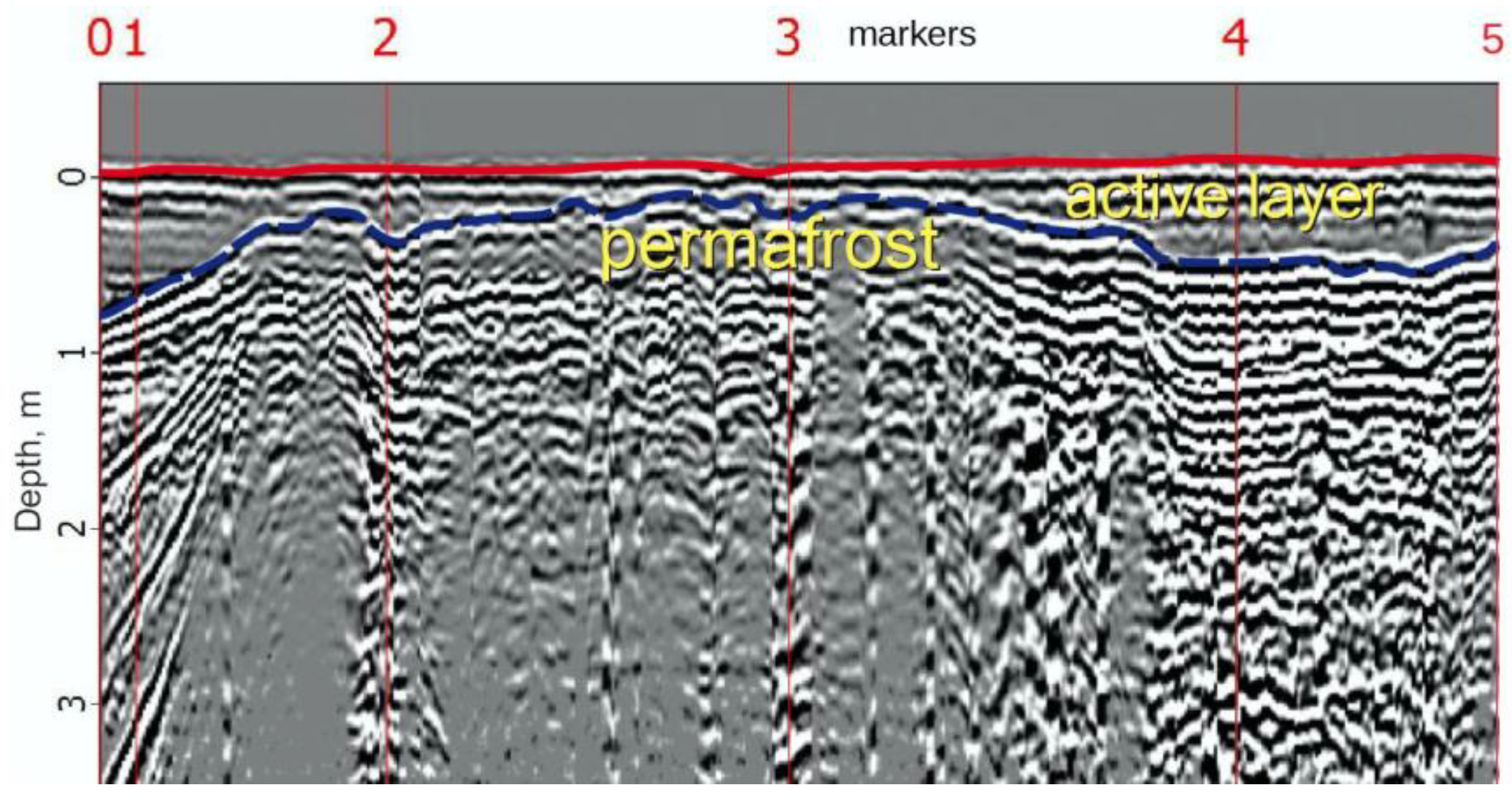 Plants 10 02813 g007 Plants 10 02813 g007