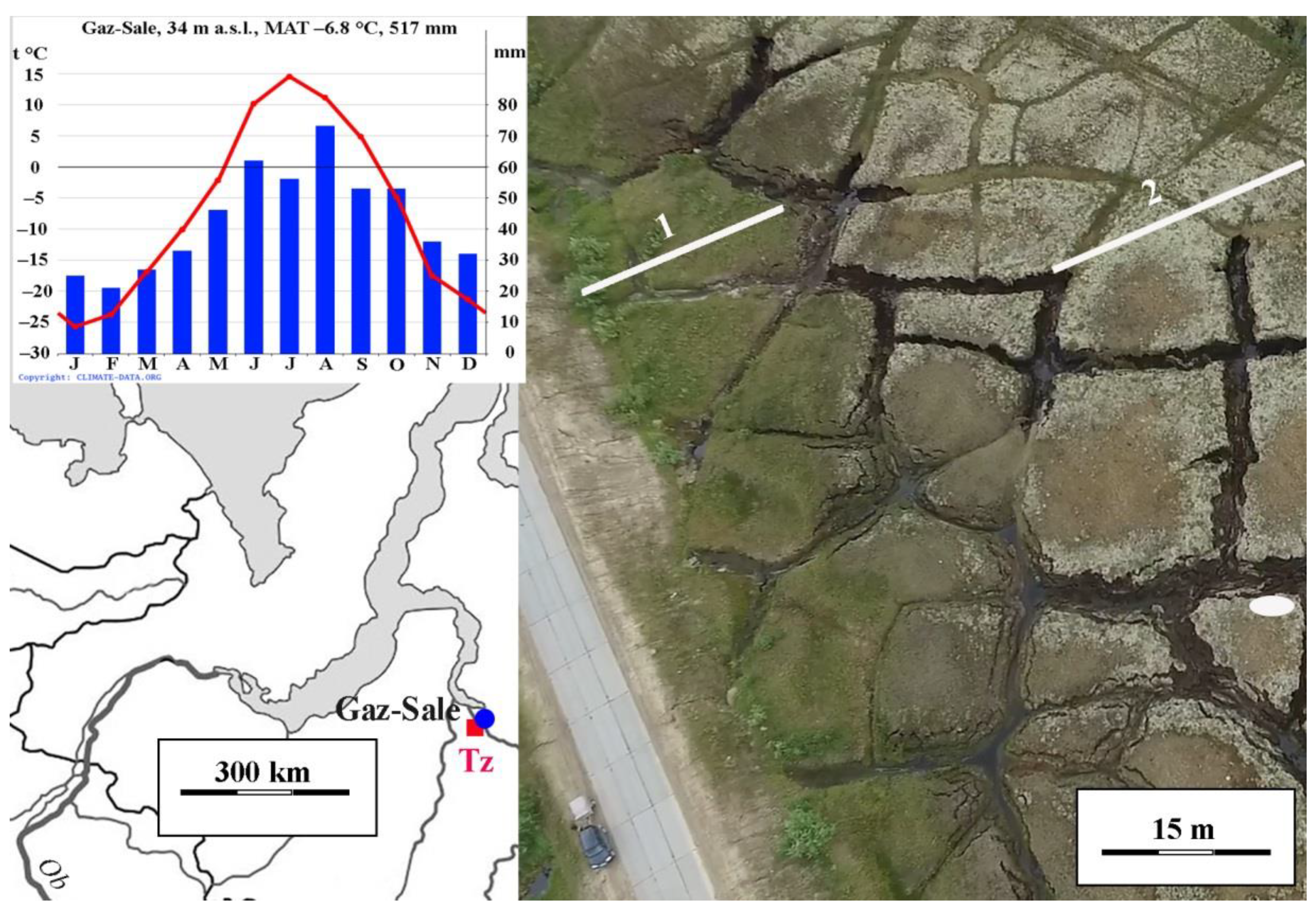 Plants 10 02813 g008 Plants 10 02813 g008