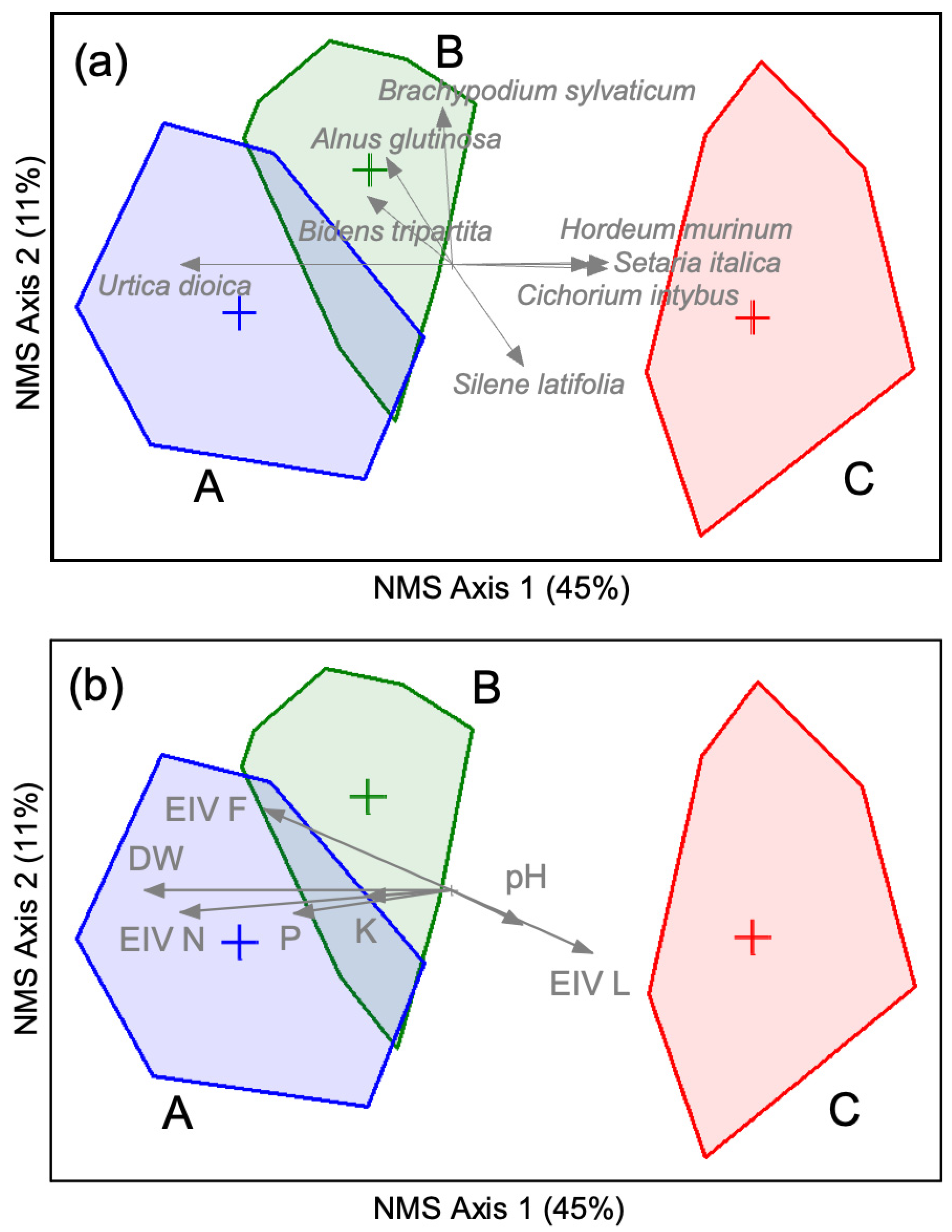 Plants 10 02814 g004 Plants 10 02814 g004