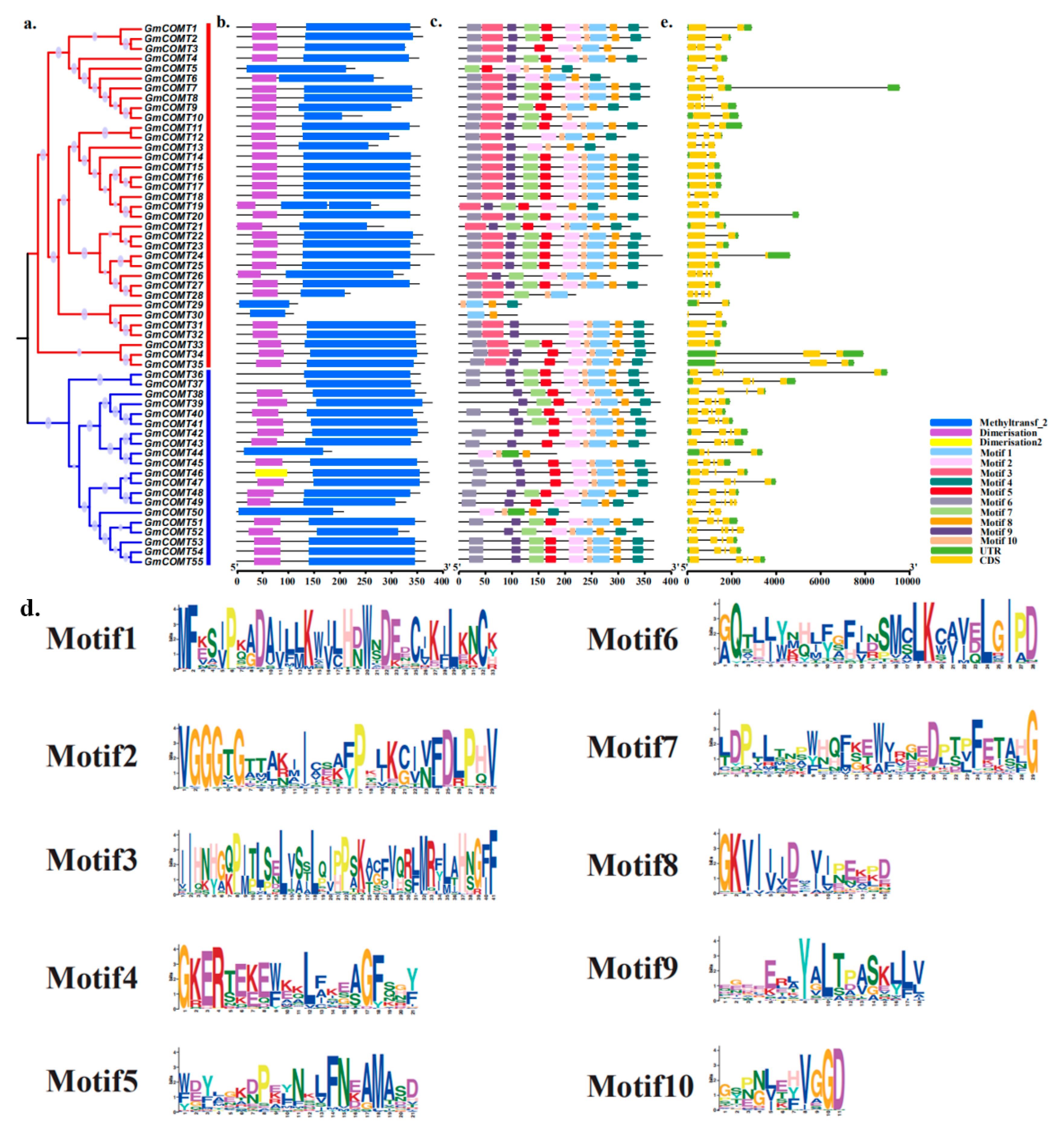 Plants 10 02816 g002 Plants 10 02816 g002