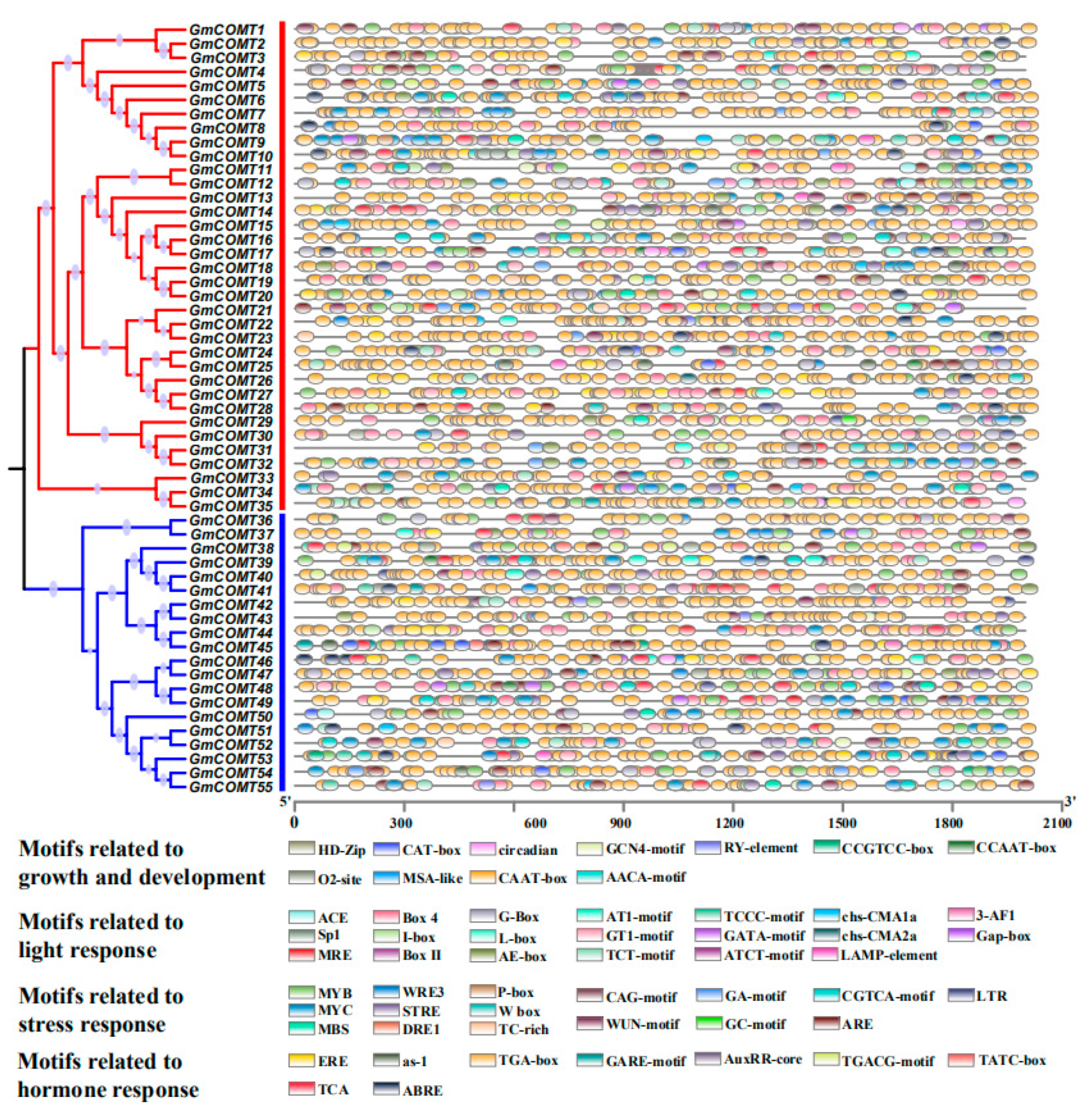 Plants 10 02816 g005 Plants 10 02816 g005