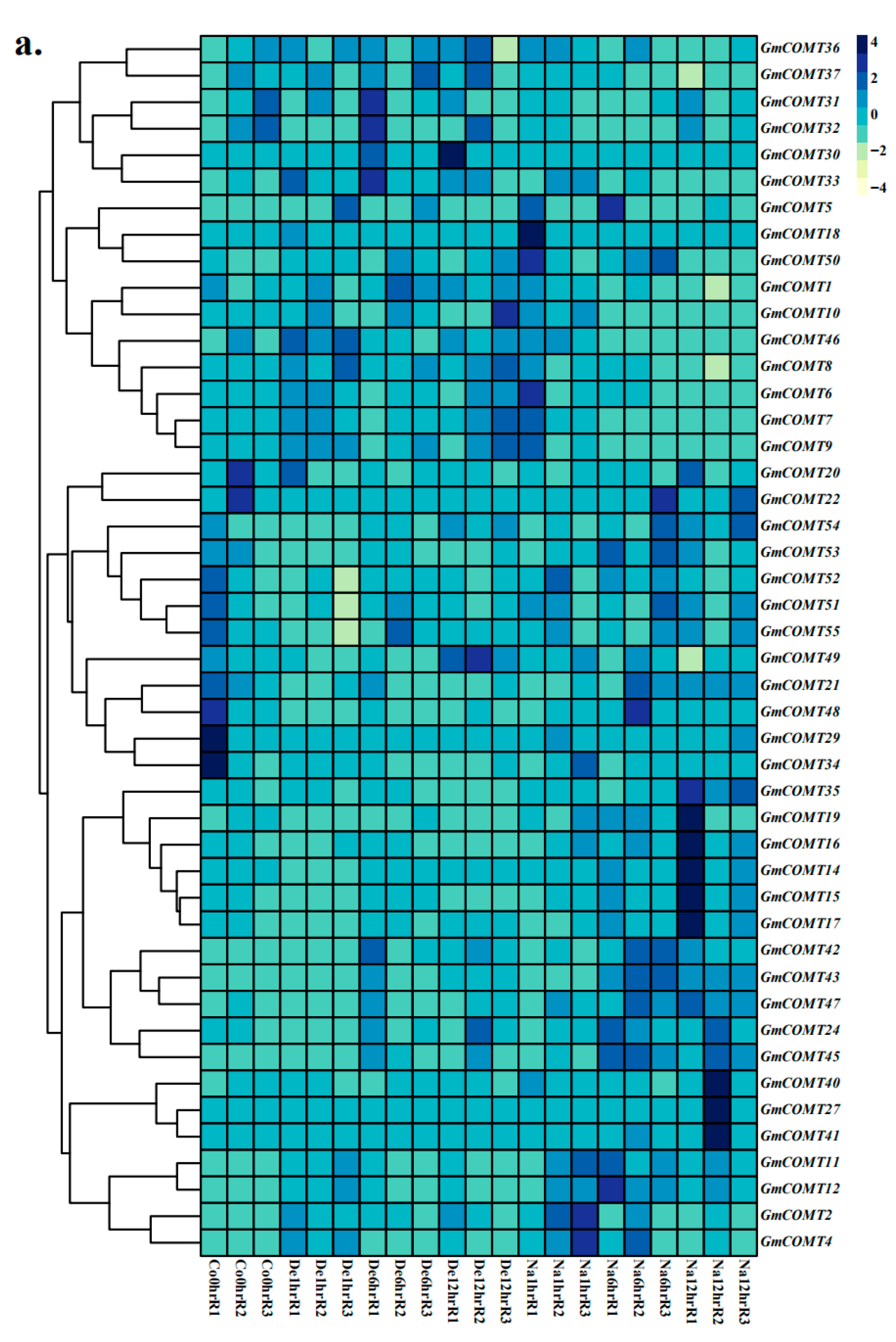 Plants 10 02816 g007a Plants 10 02816 g007a