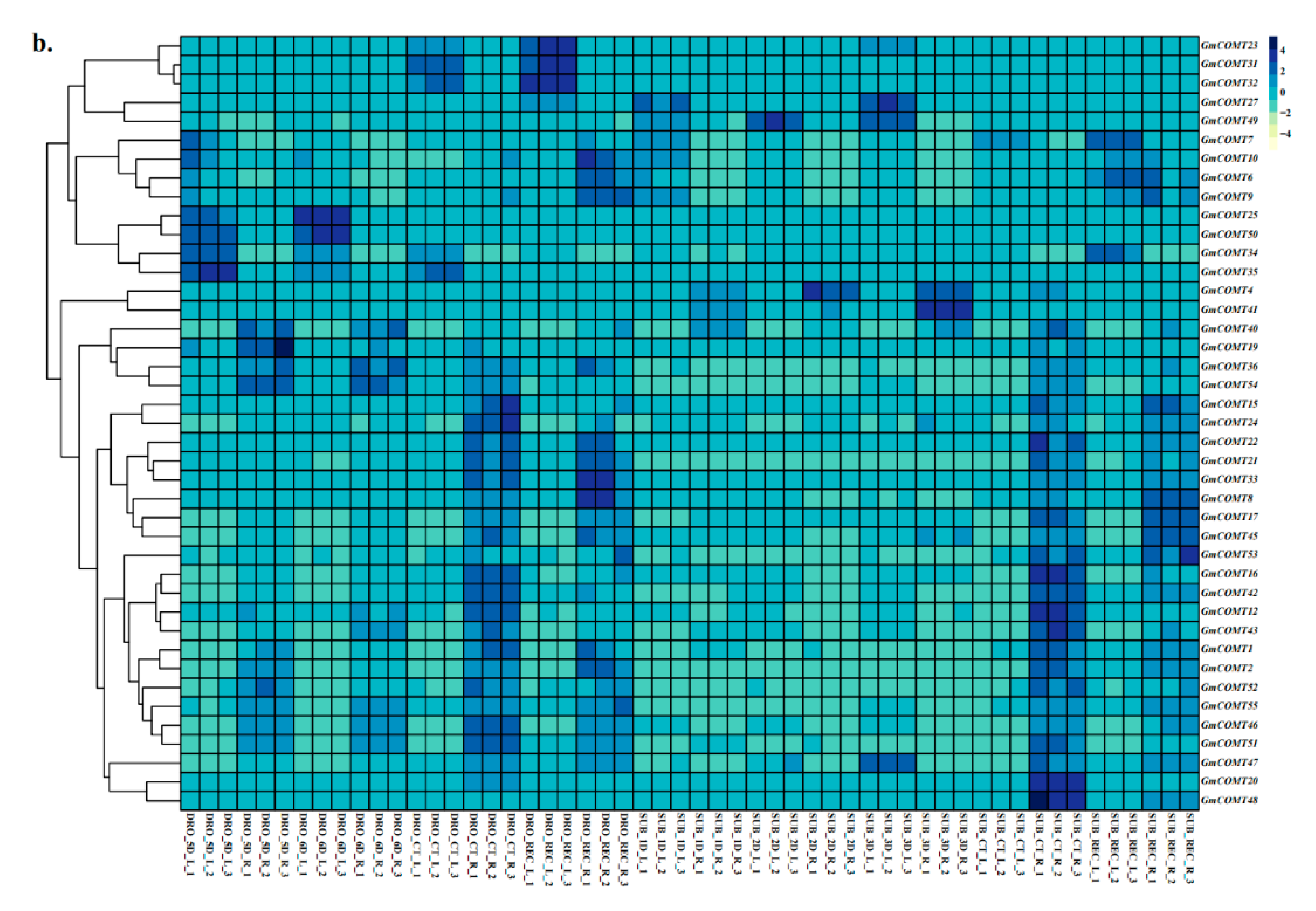 Plants 10 02816 g007b Plants 10 02816 g007b
