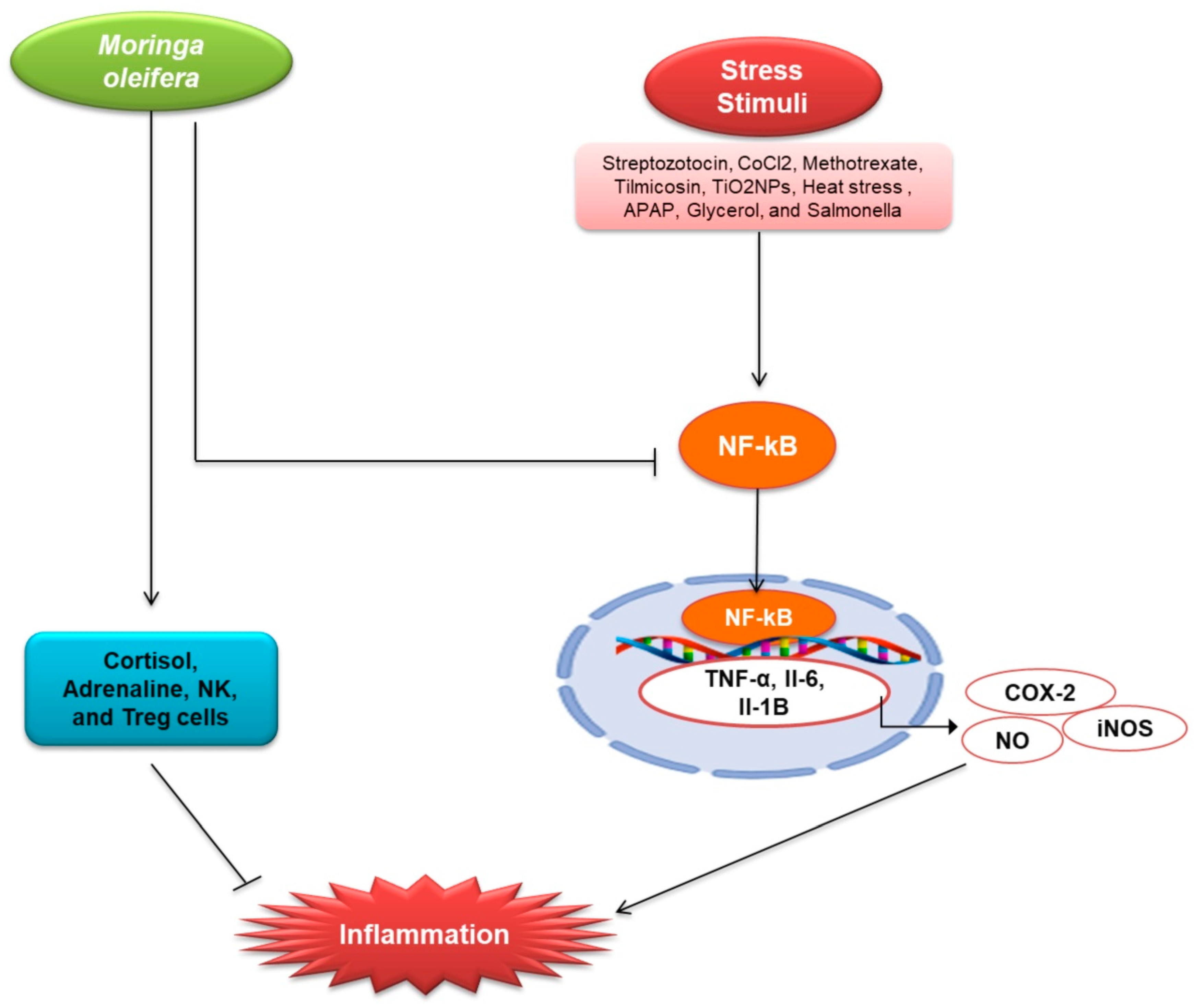 Plants 10 02818 g003