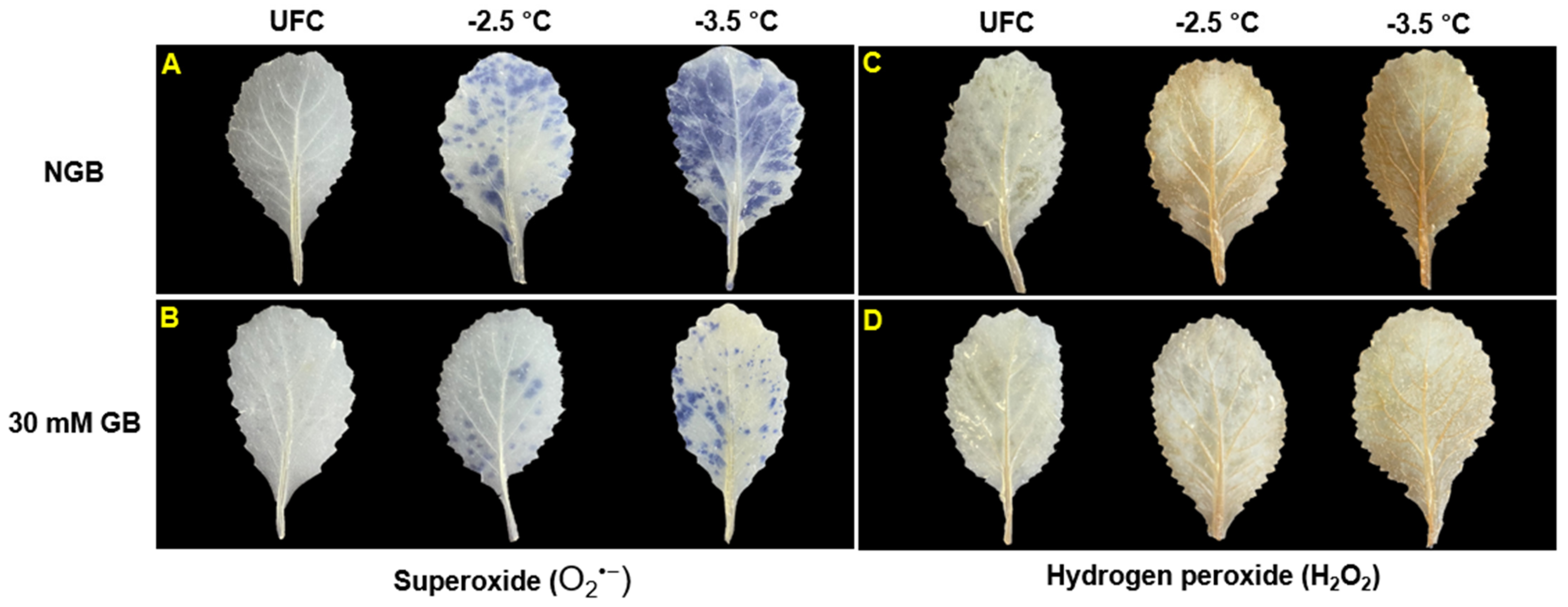 Plants 10 02821 g005