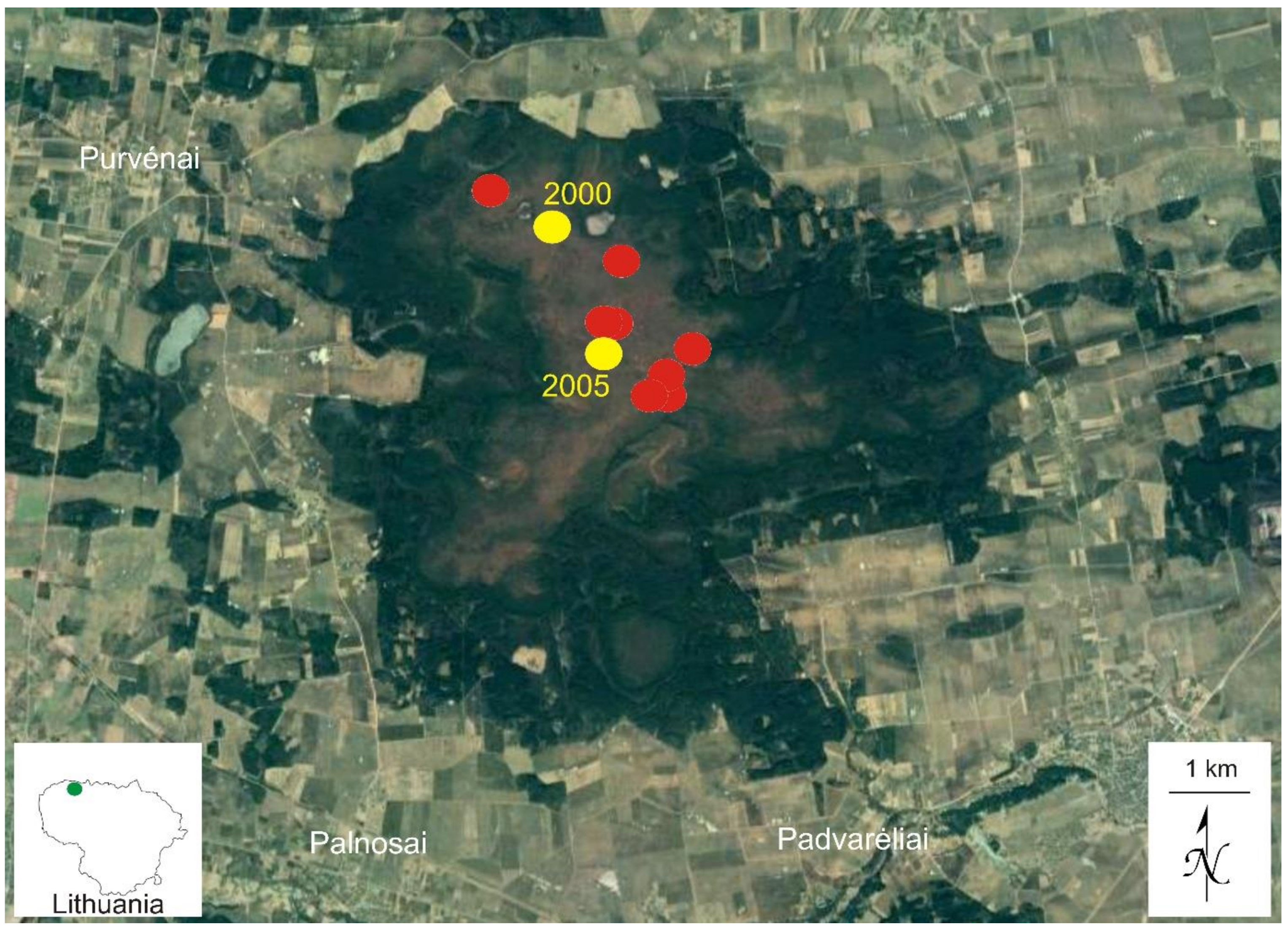 Plants 10 02823 g001