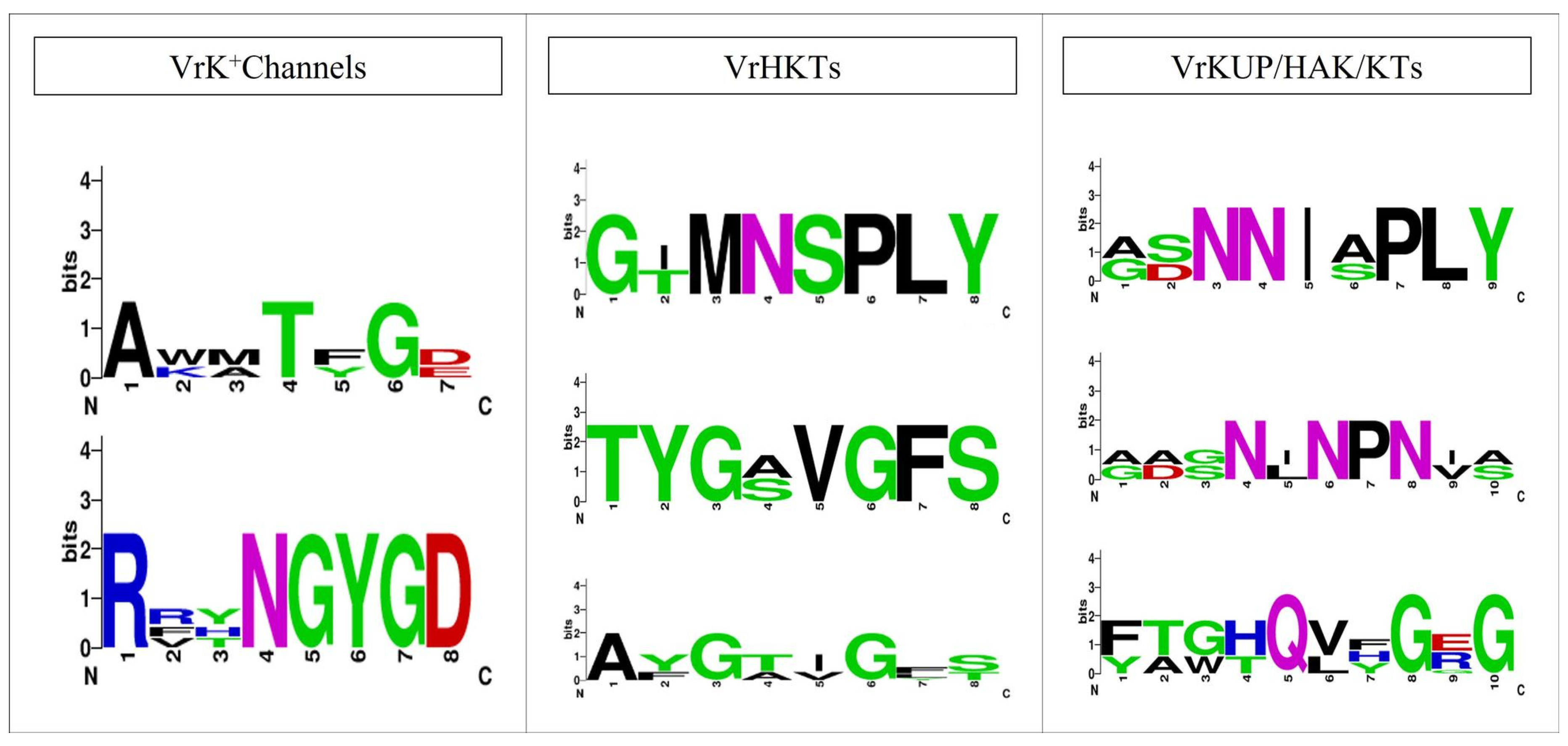 Plants 11 00002 g002