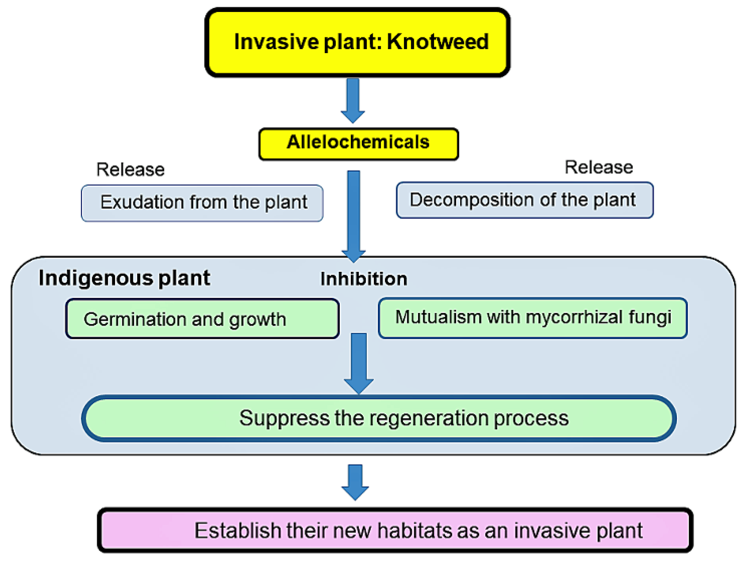 Plants 11 00003 g003