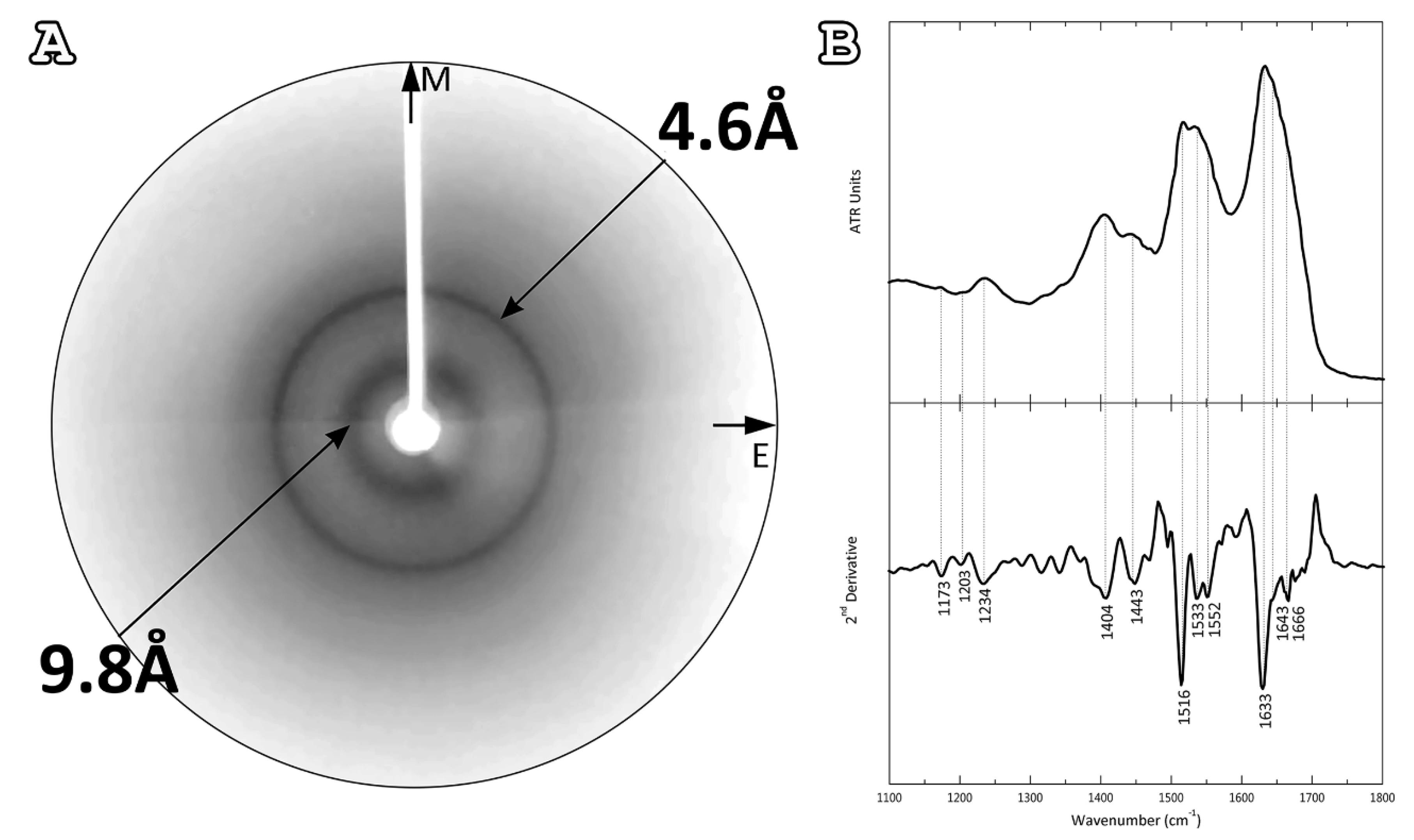 Plants 11 00009 g003