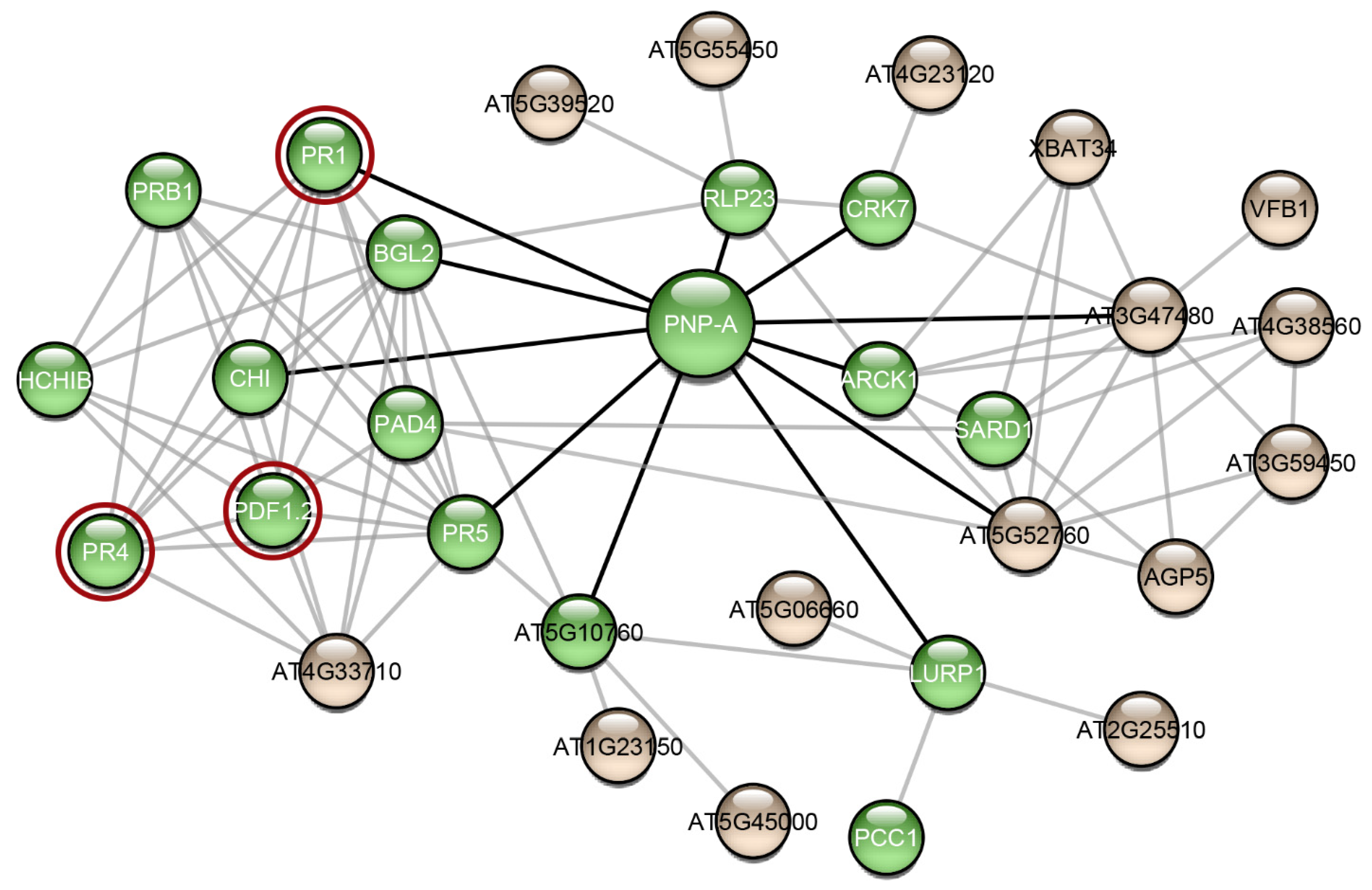 Plants 11 00009 g005
