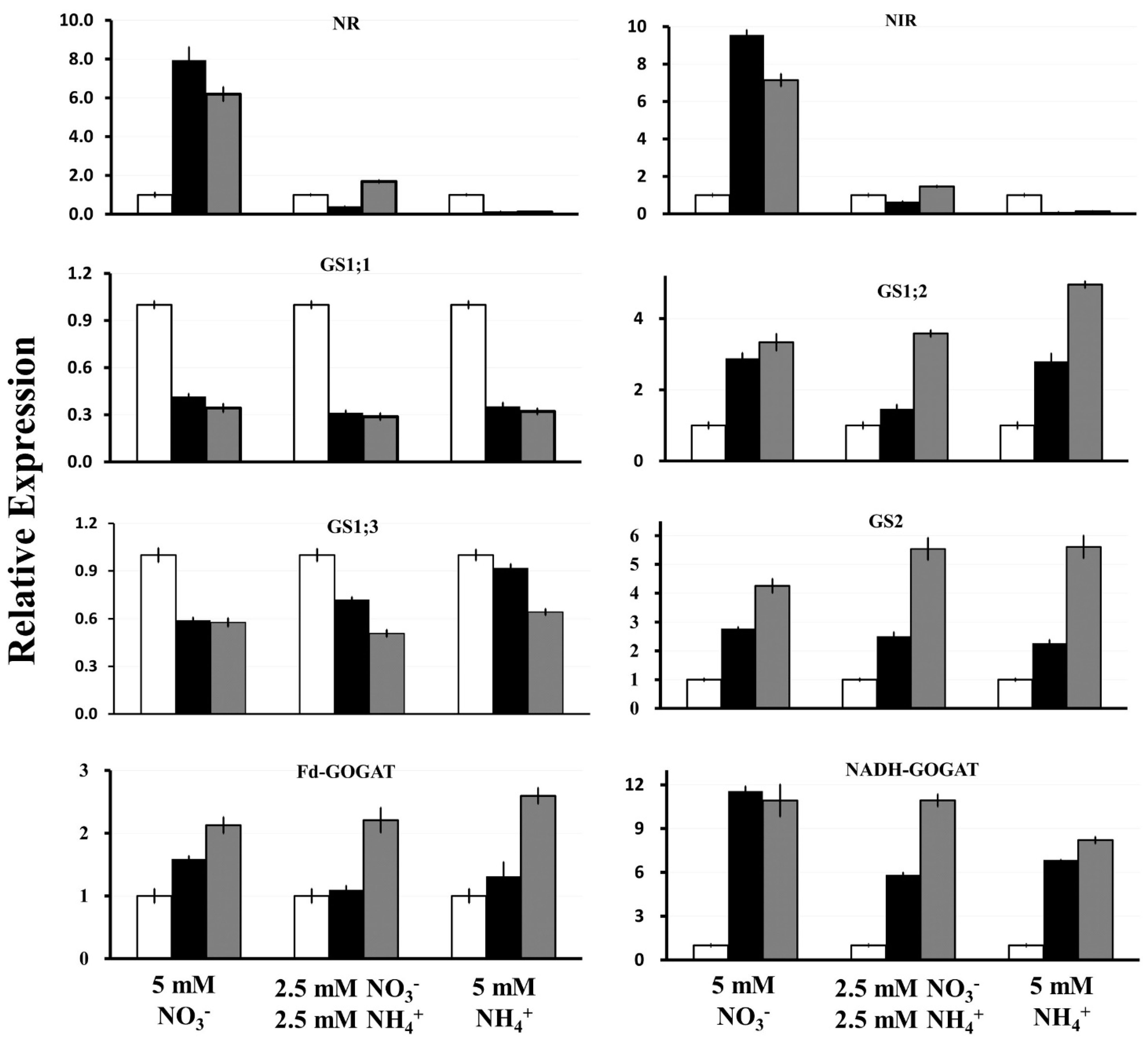 Plants 11 00011 g005 Plants 11 00011 g005
