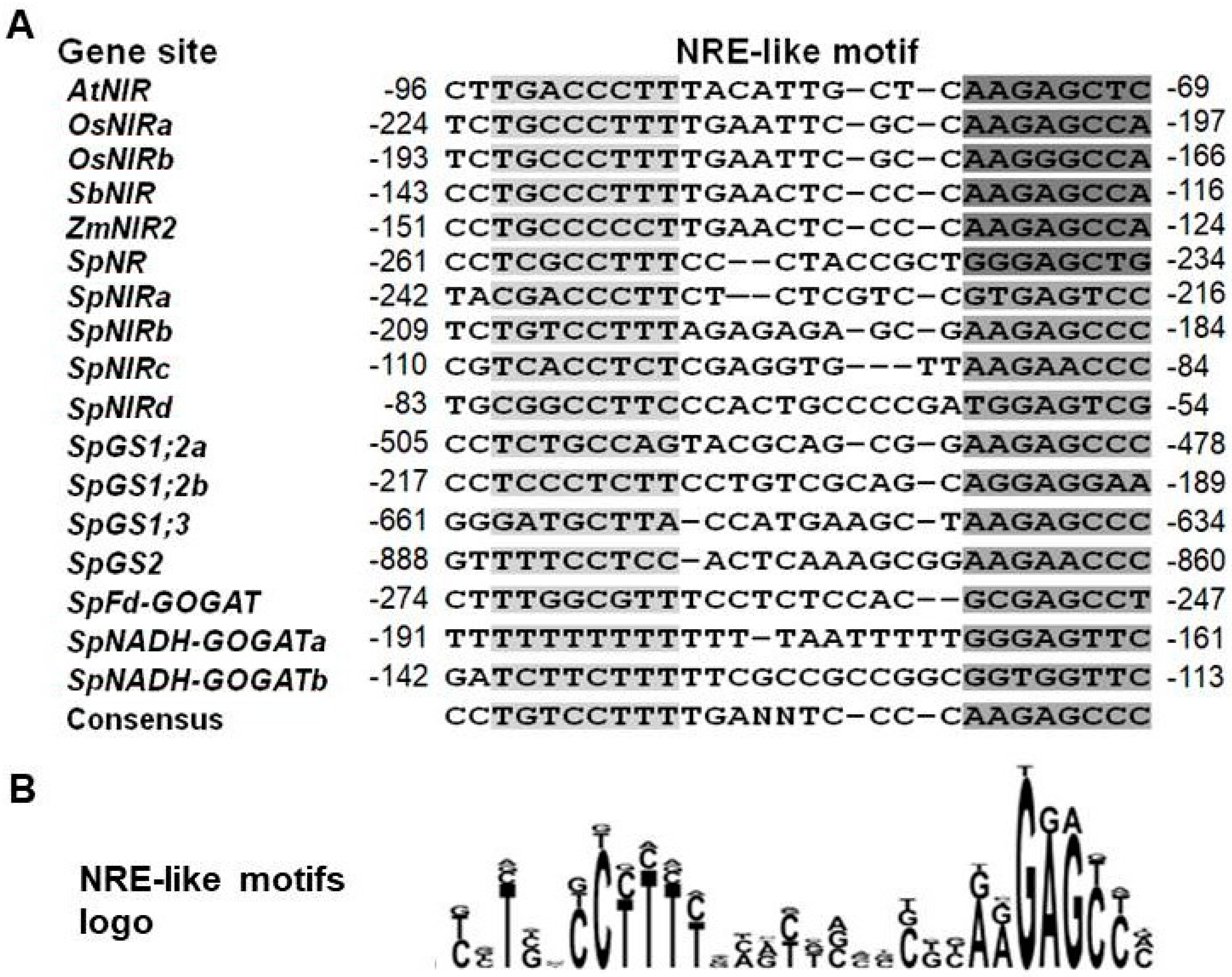 Plants 11 00011 g006 Plants 11 00011 g006