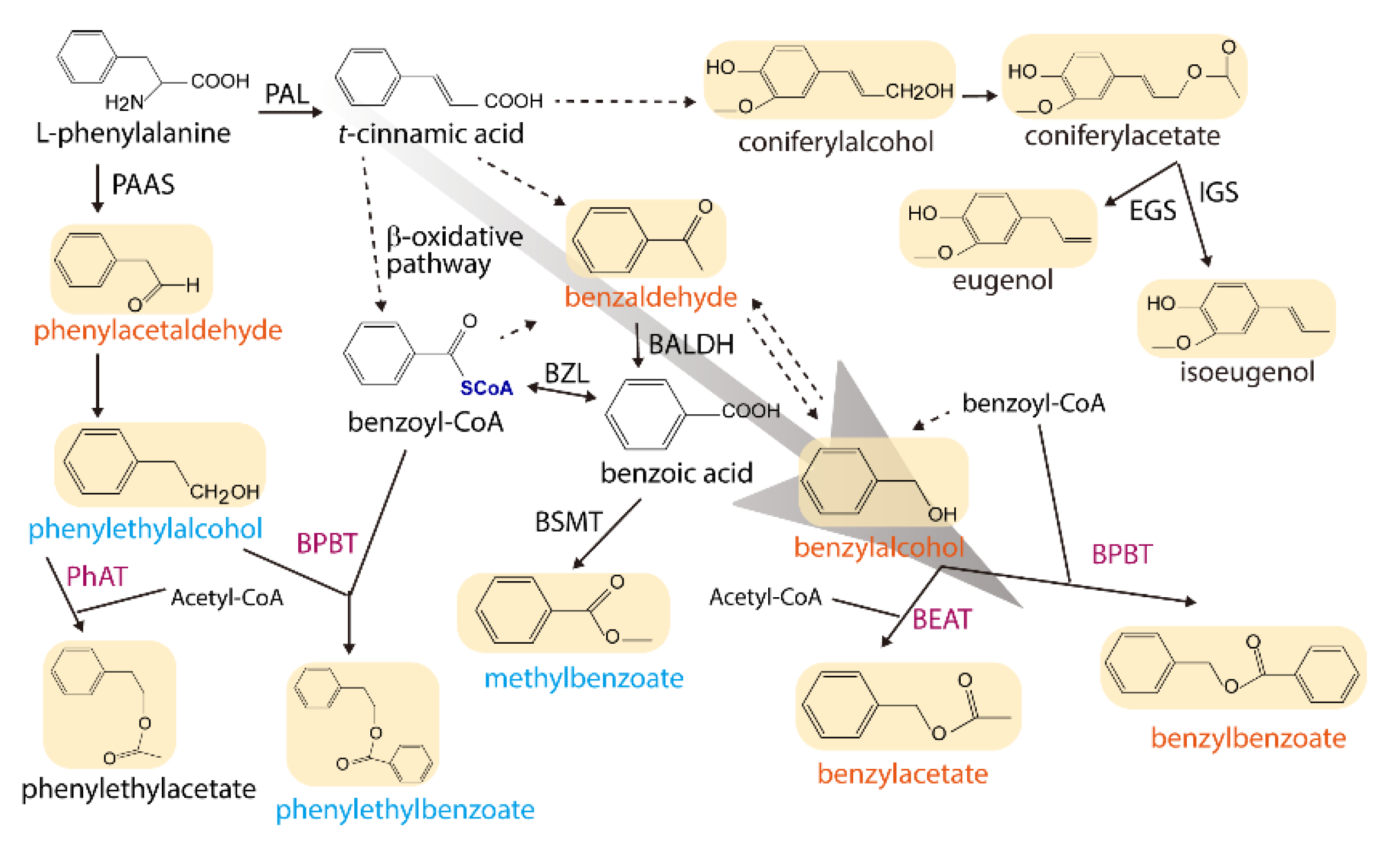 Plants 11 00013 g006