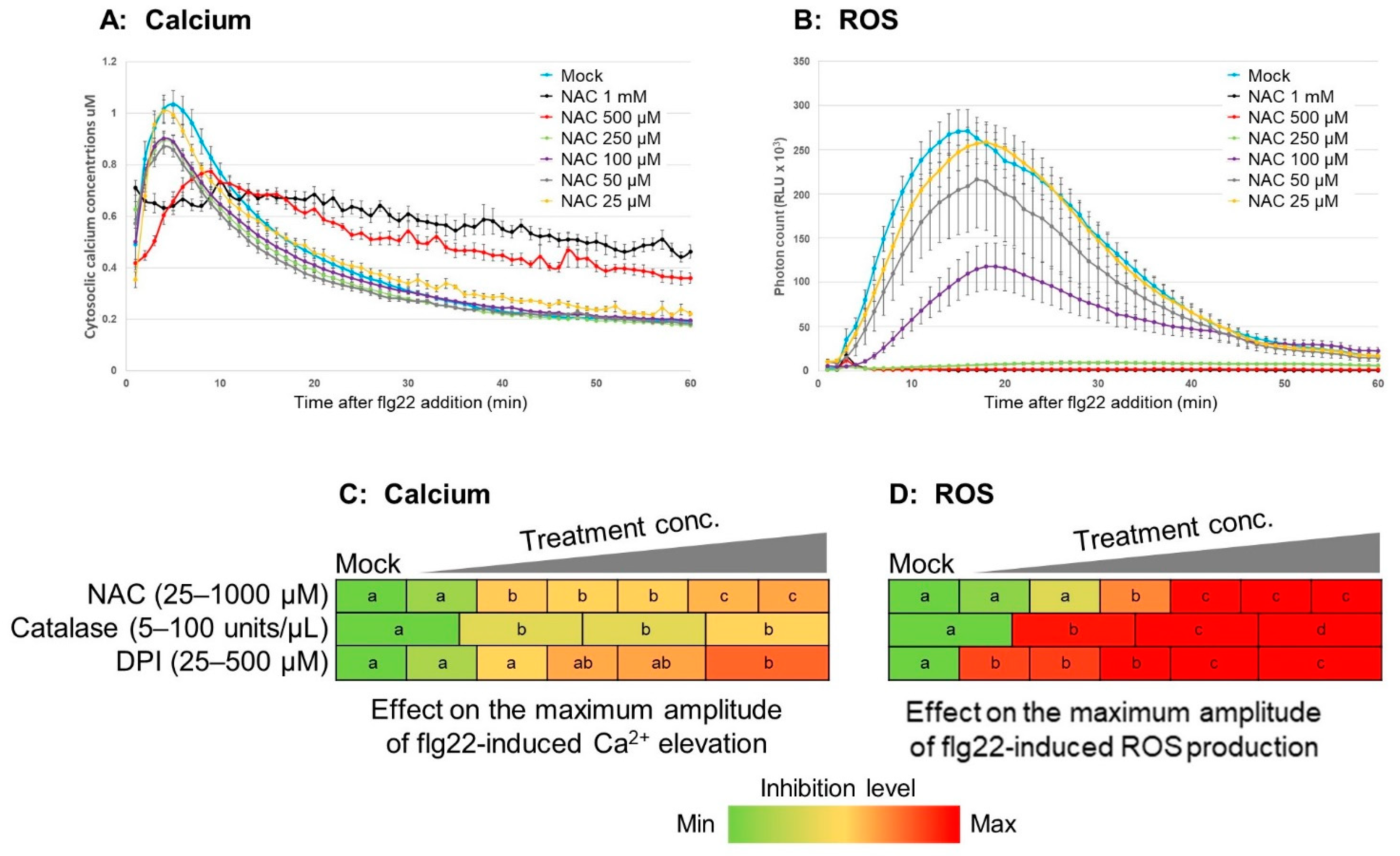 Plants 11 00014 g003