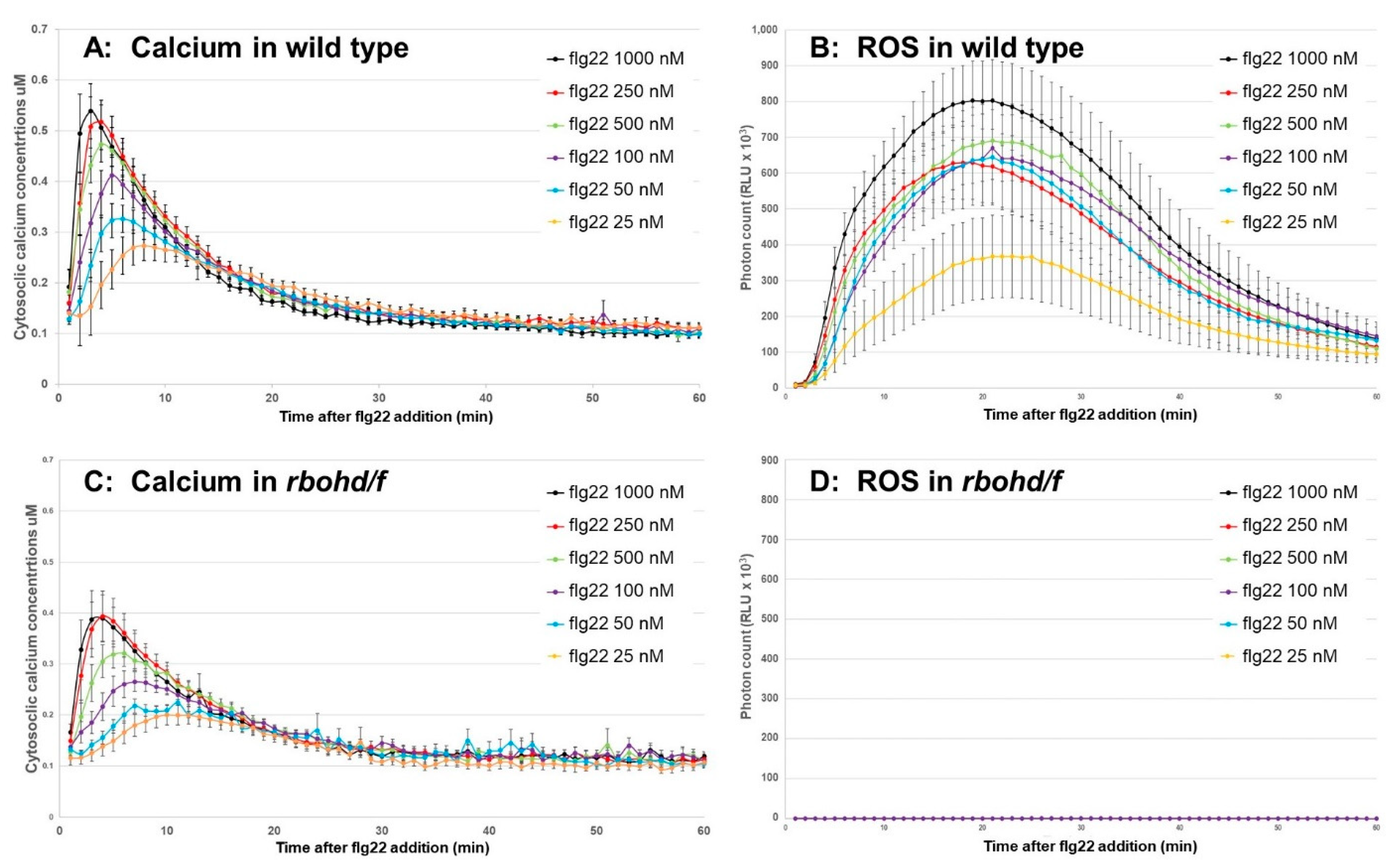 Plants 11 00014 g004