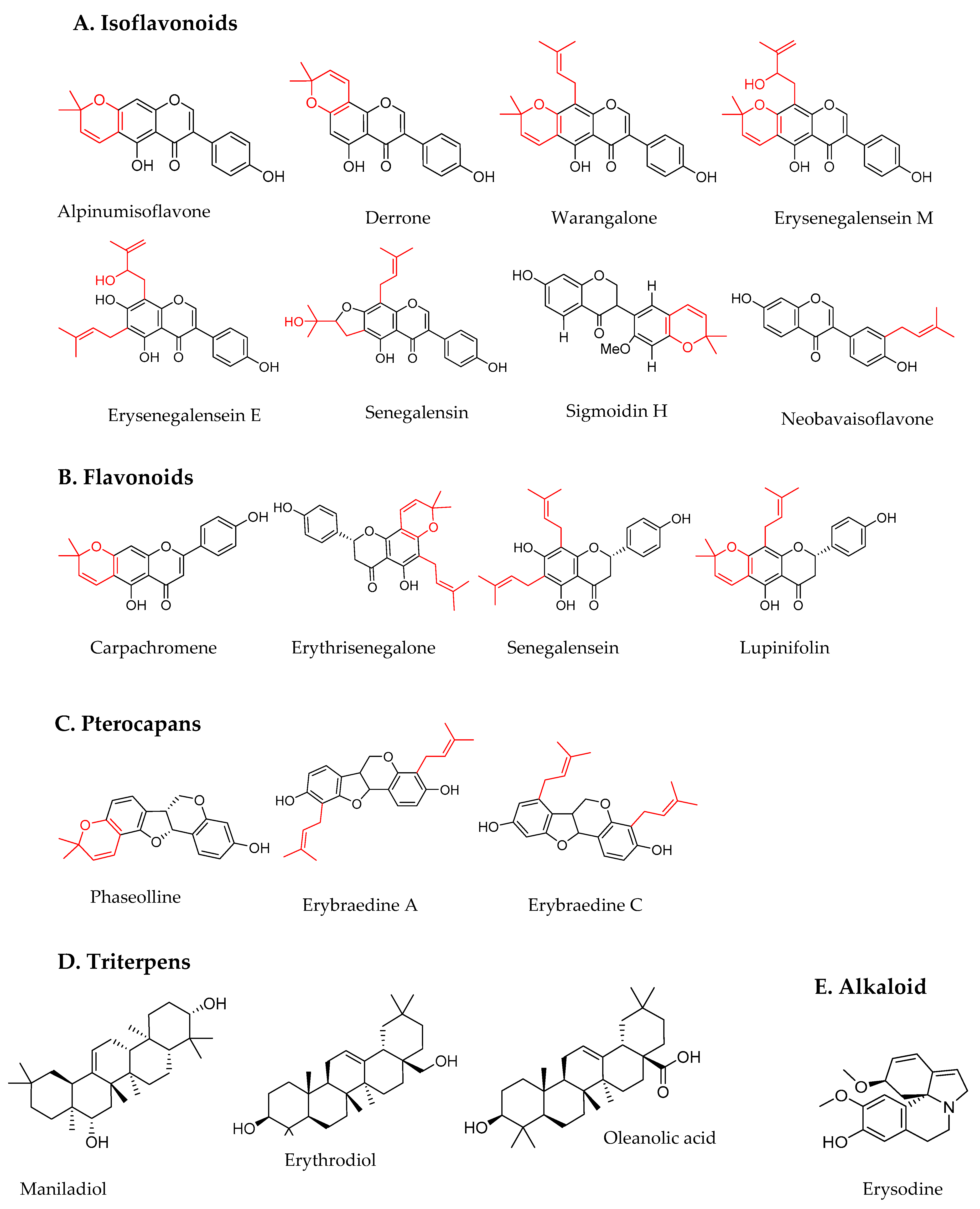 Plants 11 00019 g001 550