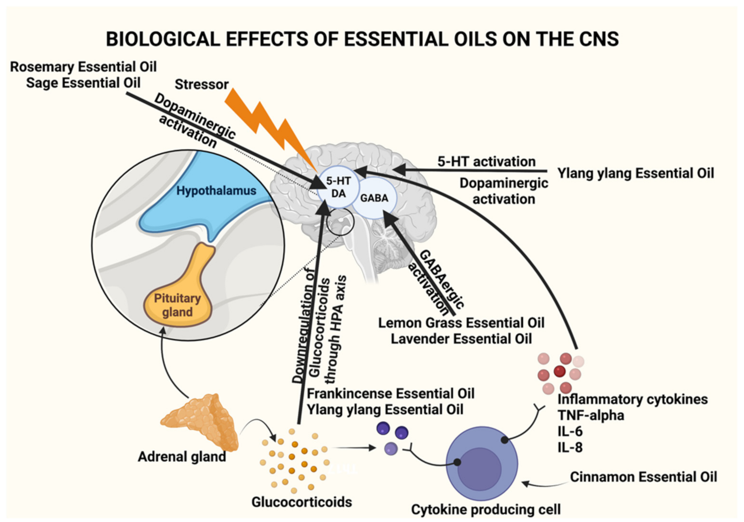 doTERRA Essential Oils - The Health Architect